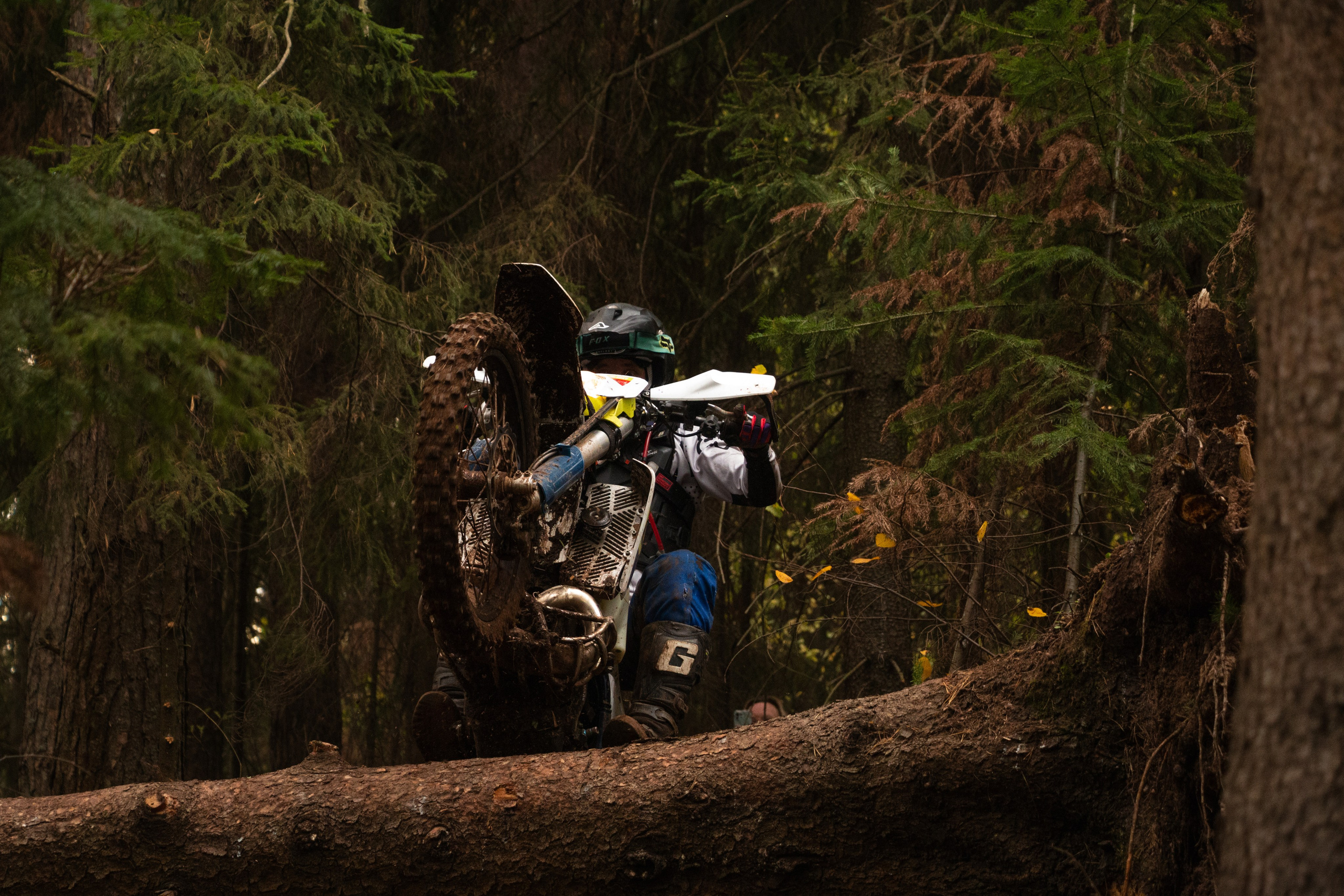 Путь Ижика. 2024. Олег Романов. Мастер фото по спорту