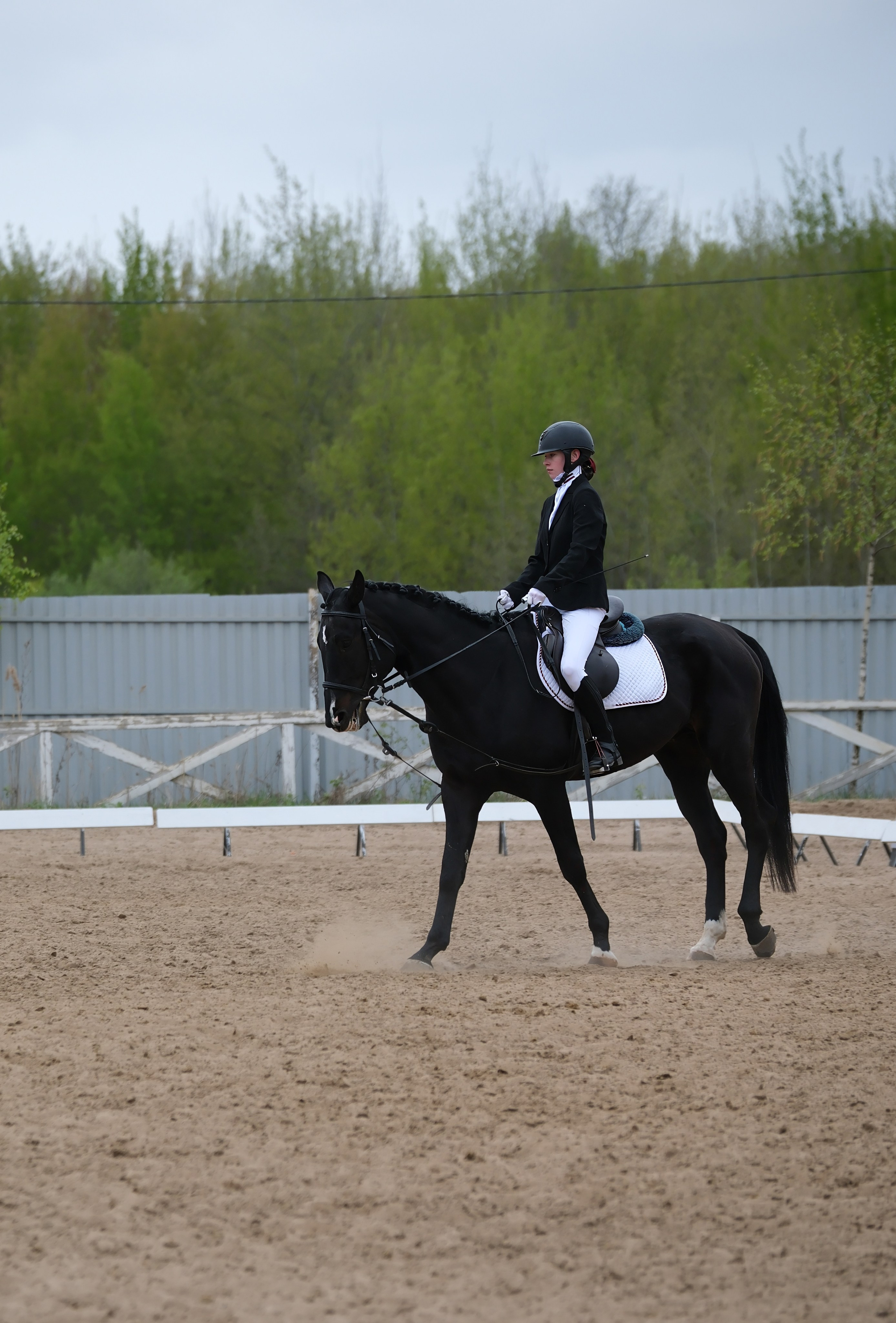 Соревнования по конному спорту в КСК «АЛЛЮР»!. Добро пожаловать в студию «Цифровой скульптор»  где искусство встречается с технологиями!