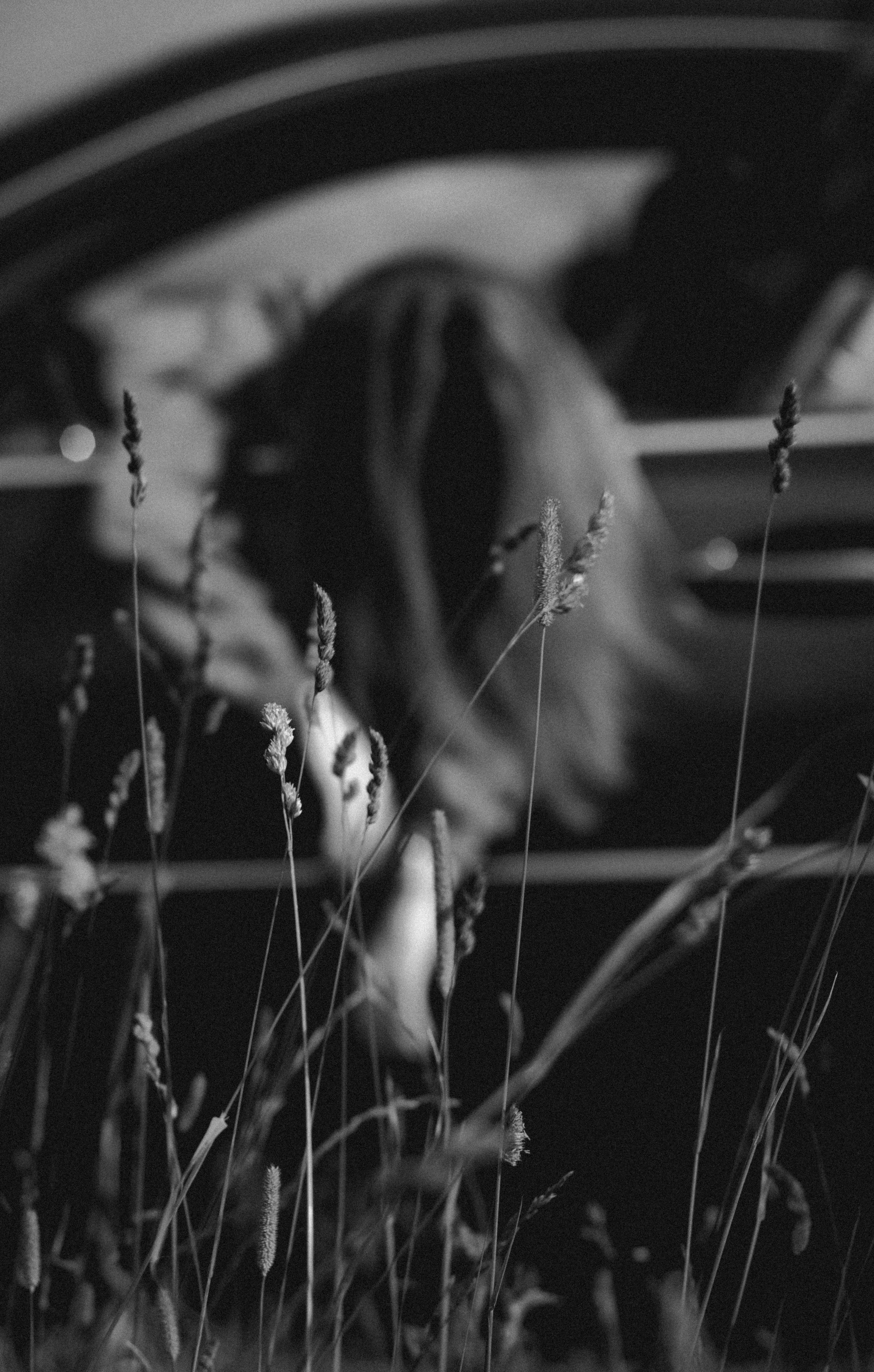 Полевые цветы. Портретный и уличный фотограф в Санкт-Петербурге Сергей Кутьин