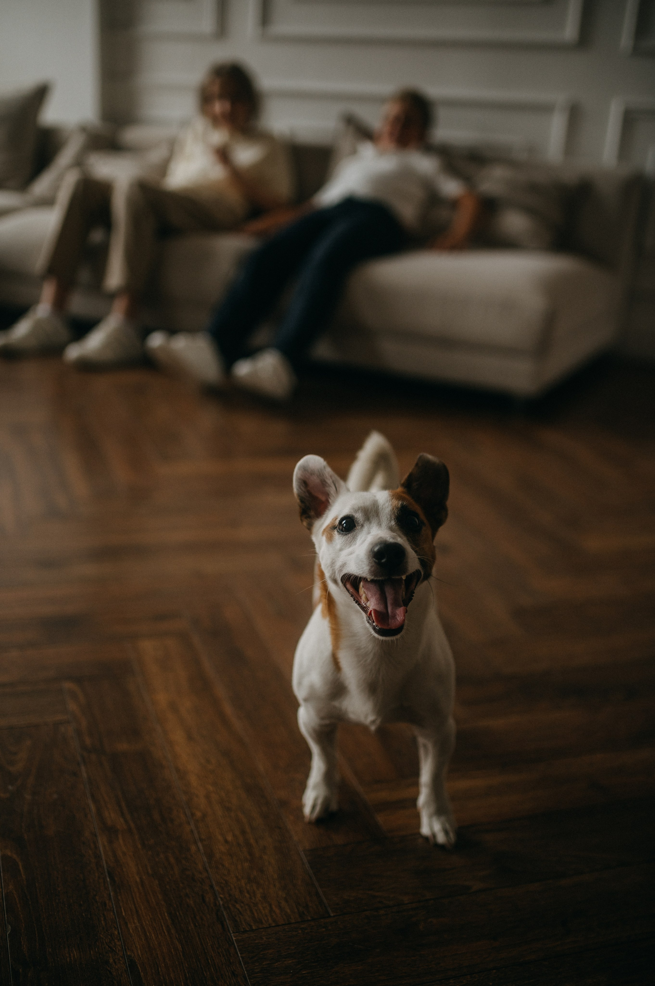 Большая семья. Фотограф в Санкт Петербурге Лара Великова