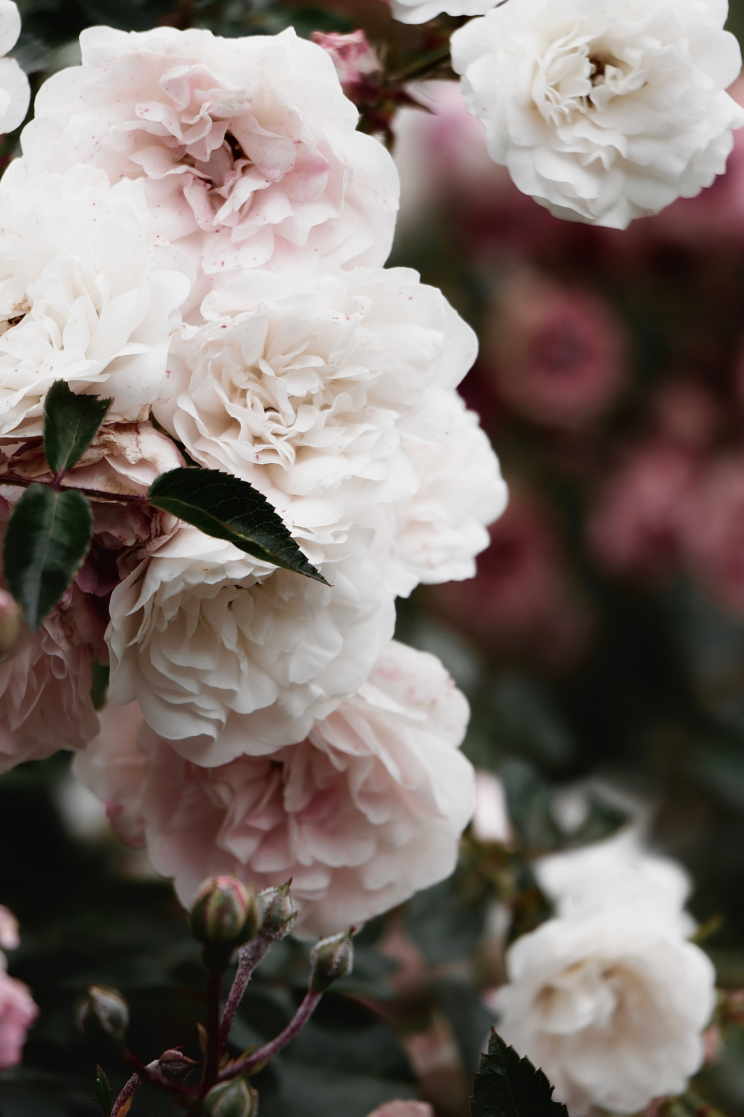 Пейзажи и прочее