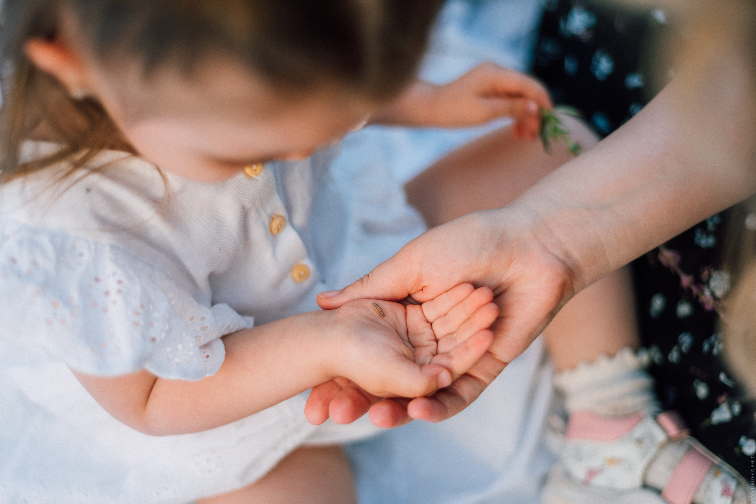 Вечерняя прогулка в лесу. Свадебный и контент- фотограф в Тольятти, Самаре, Москве Яна Уруева