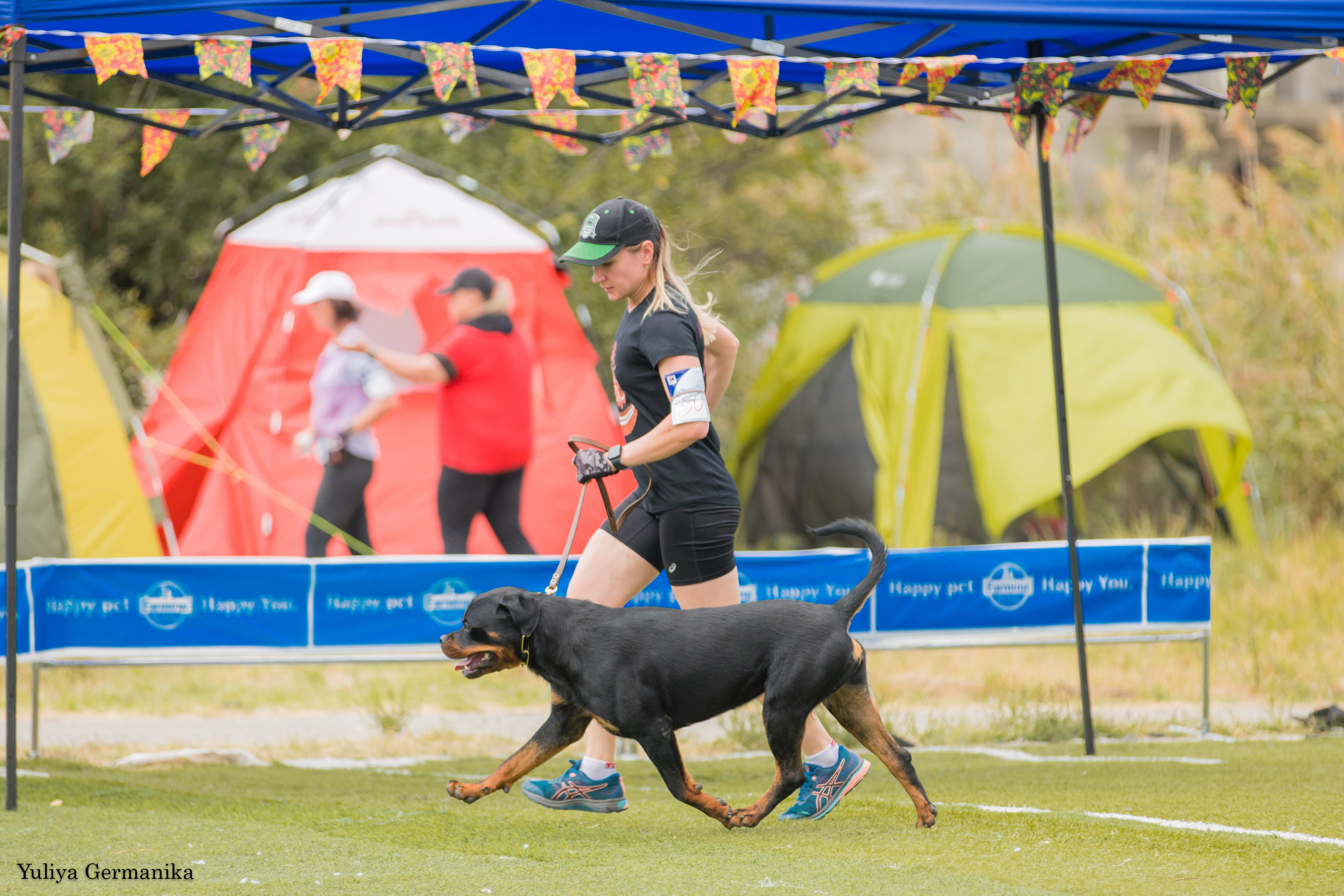 Анапа 16-17.09.2023 моно ротвейлеров. Фотограф-анималист Юлия Германика
