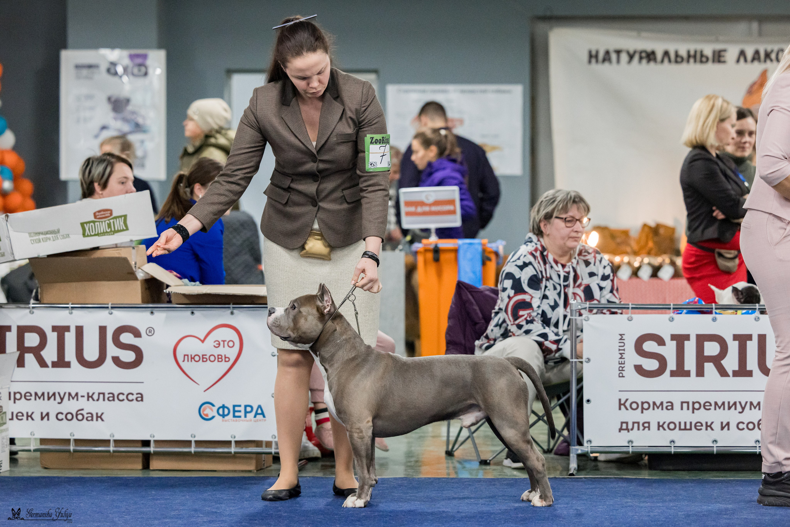 Сфера 28.01. и 4.02.2024. Фотограф-анималист Юлия Германика