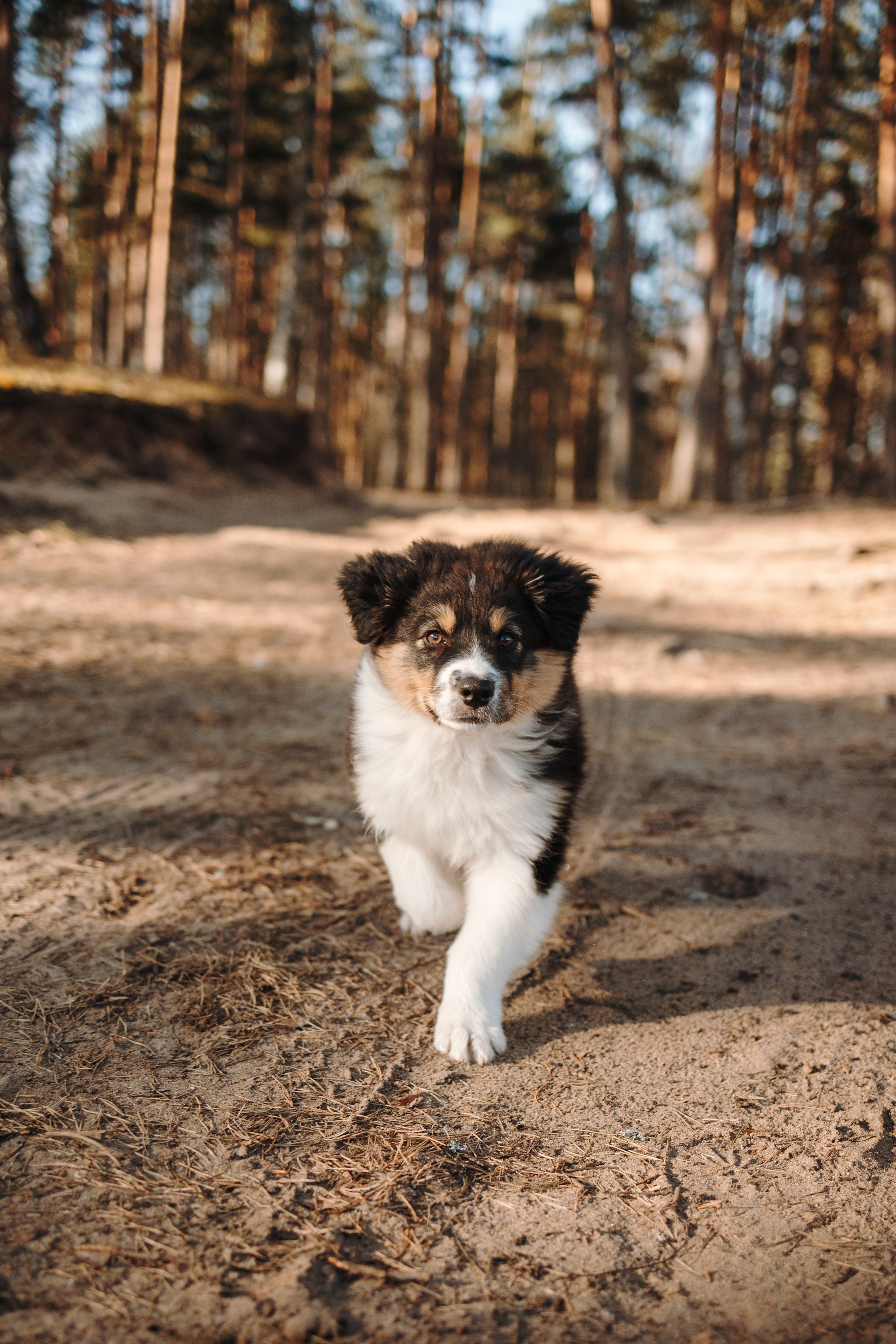 Ира и Шмель. Фотограф — Анималист | Санкт-Петербург