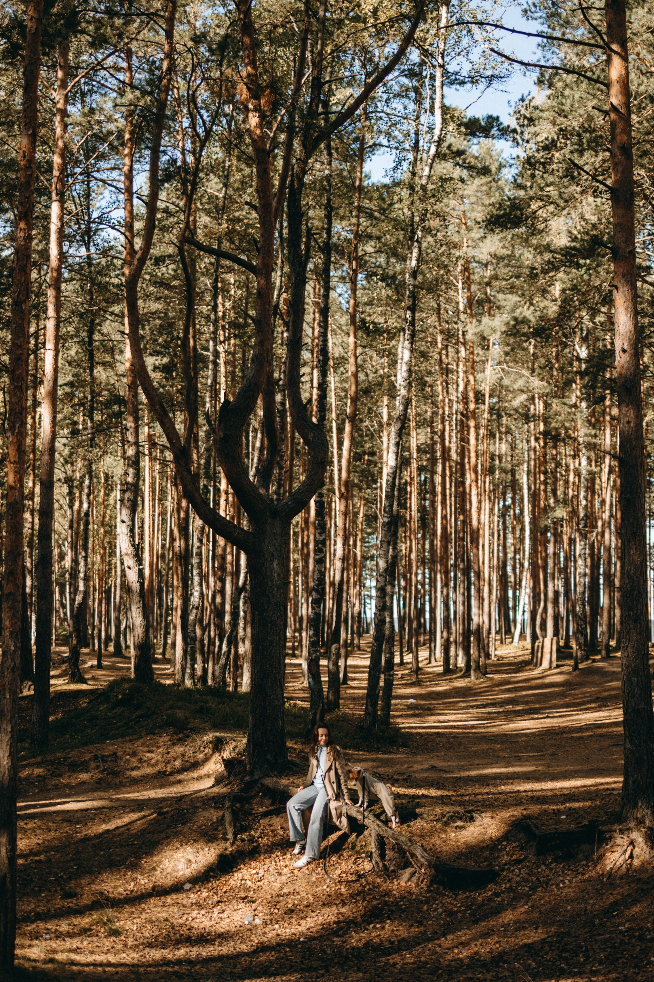 Алиса и Лео. Фотограф — Анималист | Санкт-Петербург