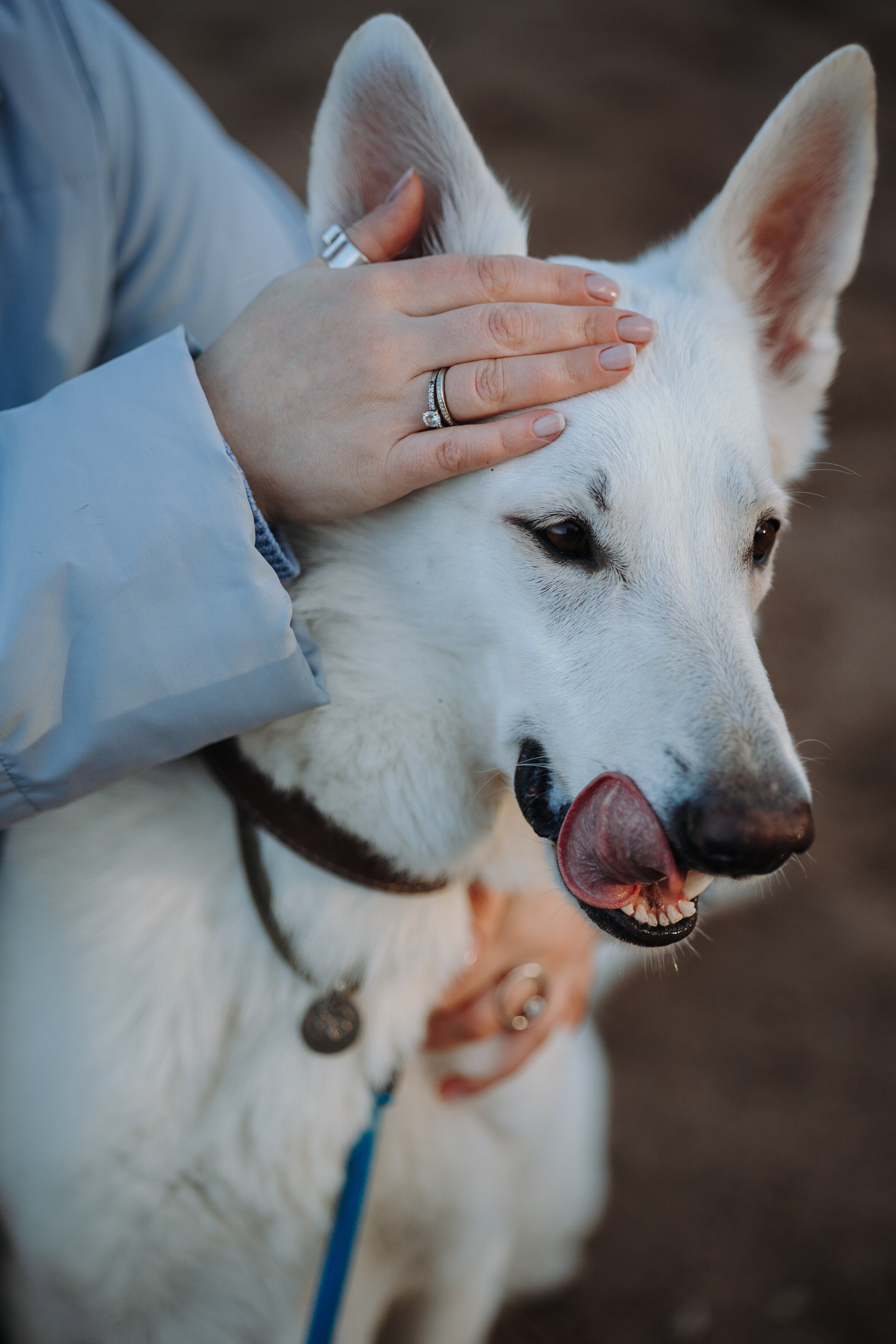 Настя и Эва. Фотограф — Анималист | Санкт-Петербург