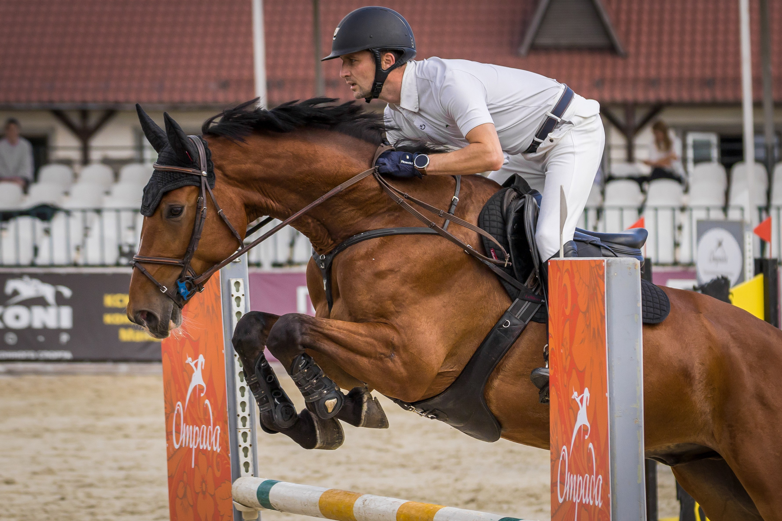 Конный спорт. Photomantis