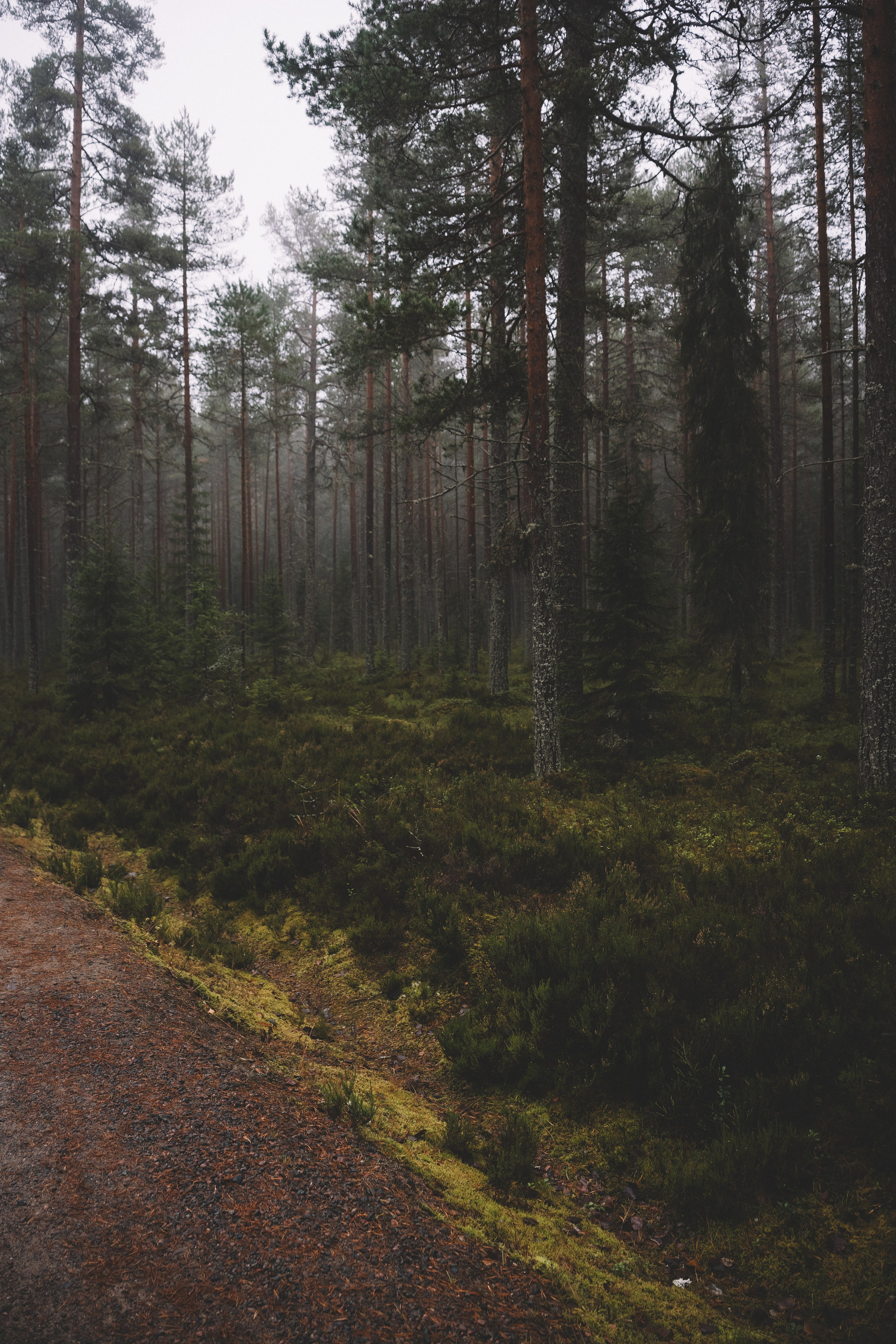 Фотосессия для музыкантов в СПб. Профессиональный фотограф в Санкт-Петербурге Александр Волосенцев