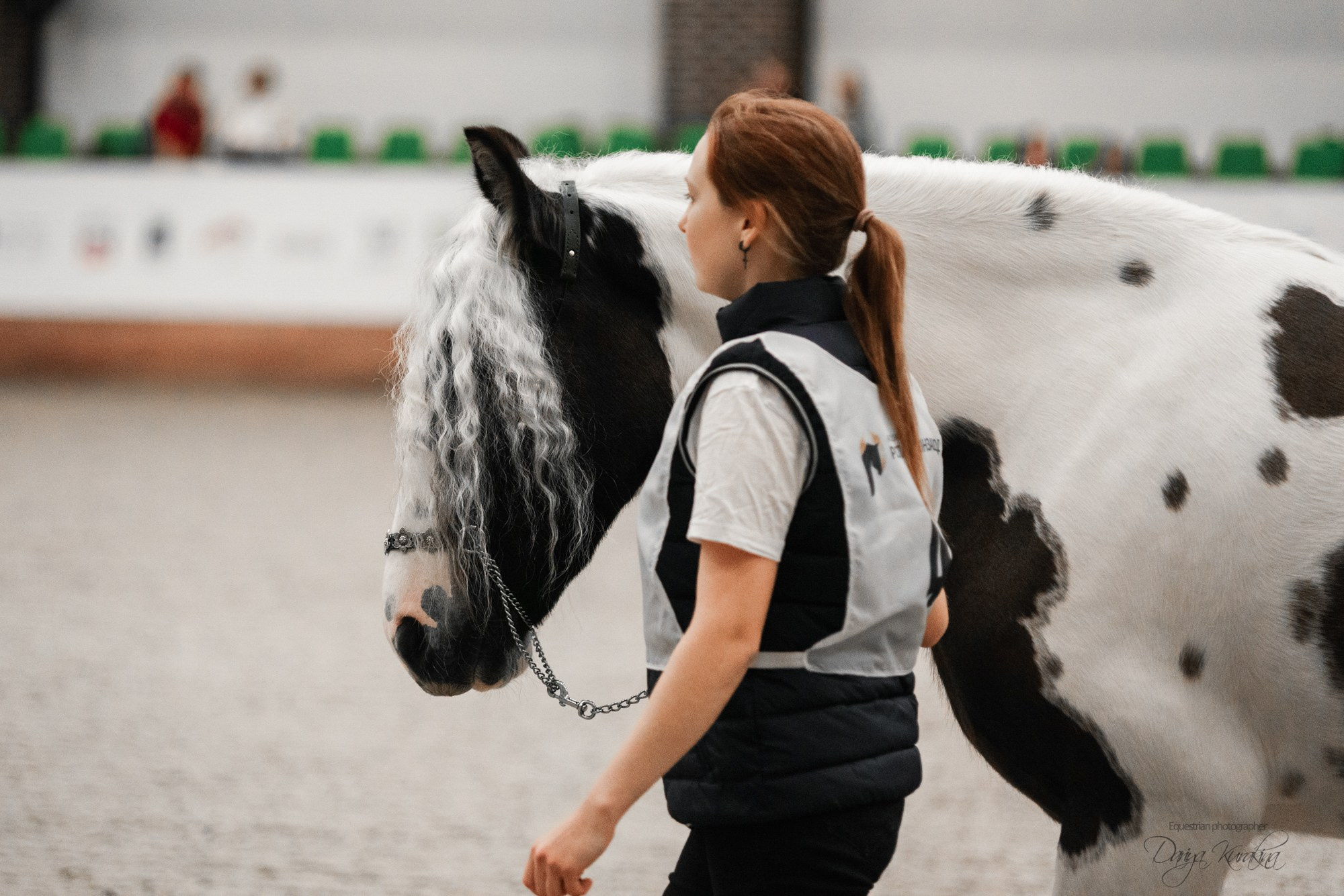 8-я международная выставка Конная Россия. Конный фотограф Куракина Дарья • Фотосессии с лошадьми