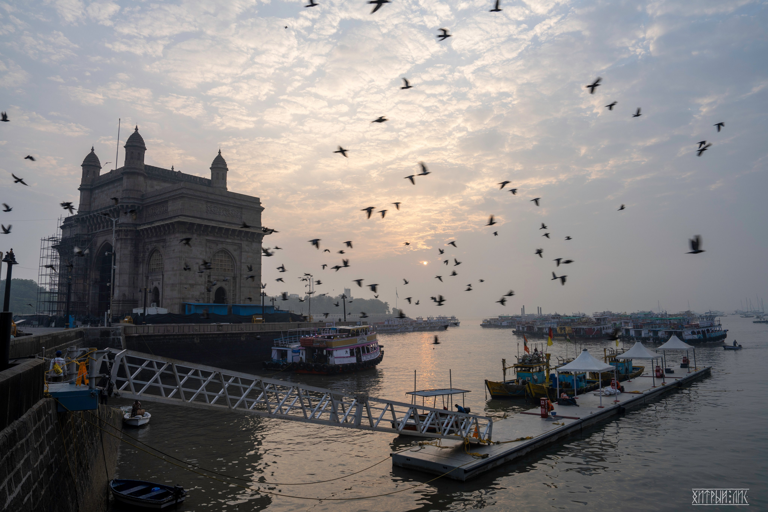 Гоа-Мумбаи. Фотограф-путешественник Самойлов Максим «Sly Fox»