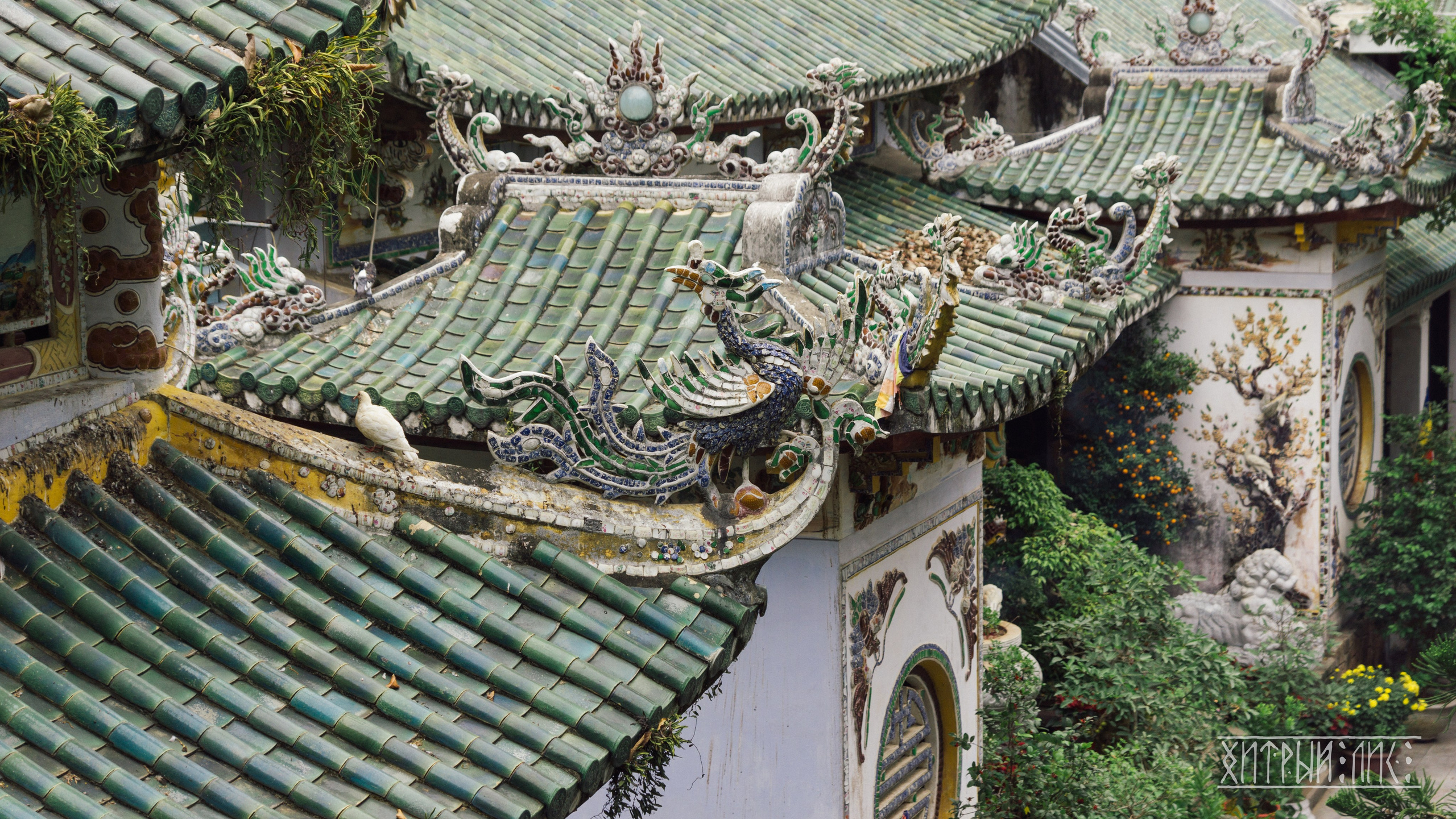 Вьетнам. Фотограф-путешественник Самойлов Максим «Sly Fox»