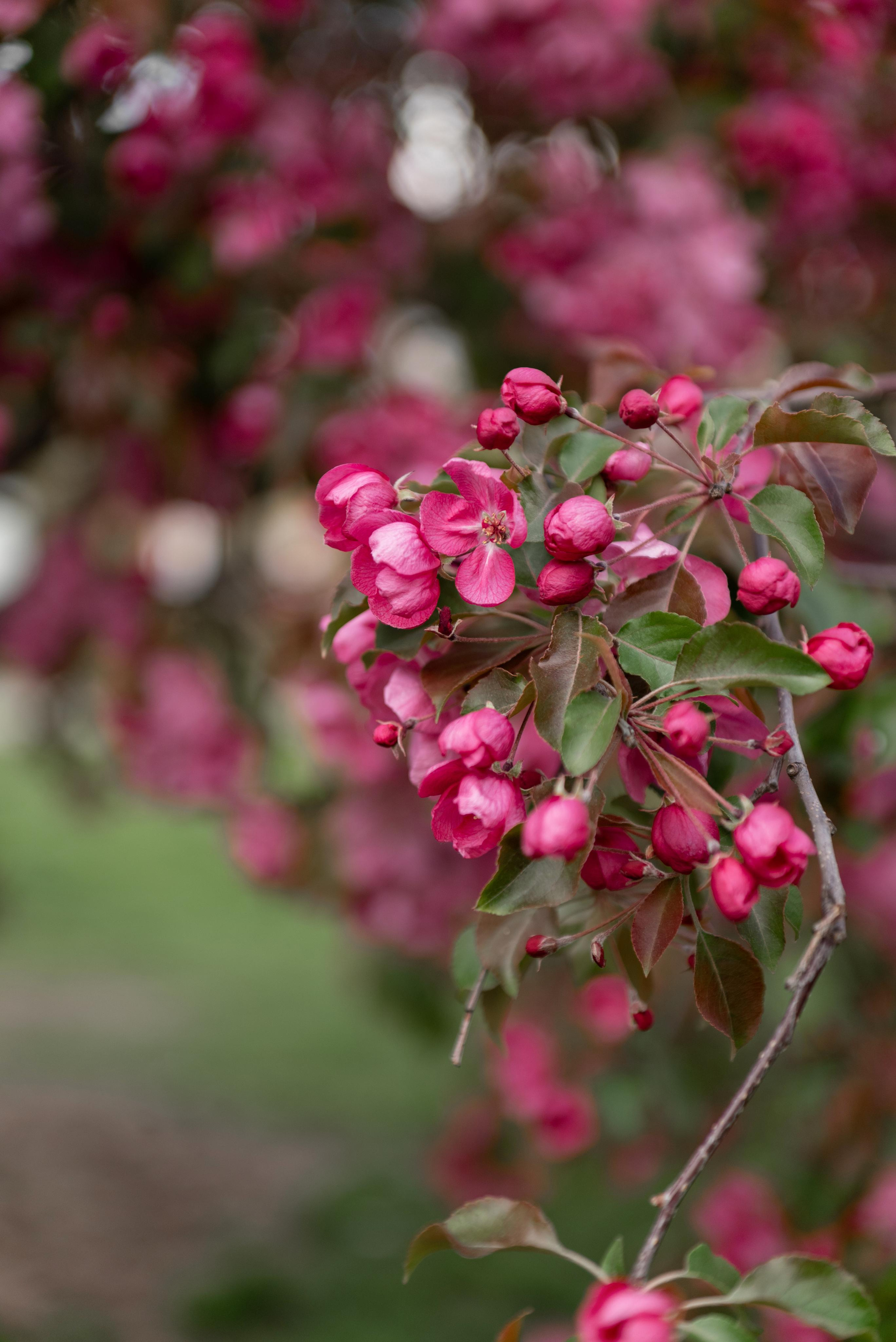 Някия. Свадебный фотограф Москва и МО Марина Мышко