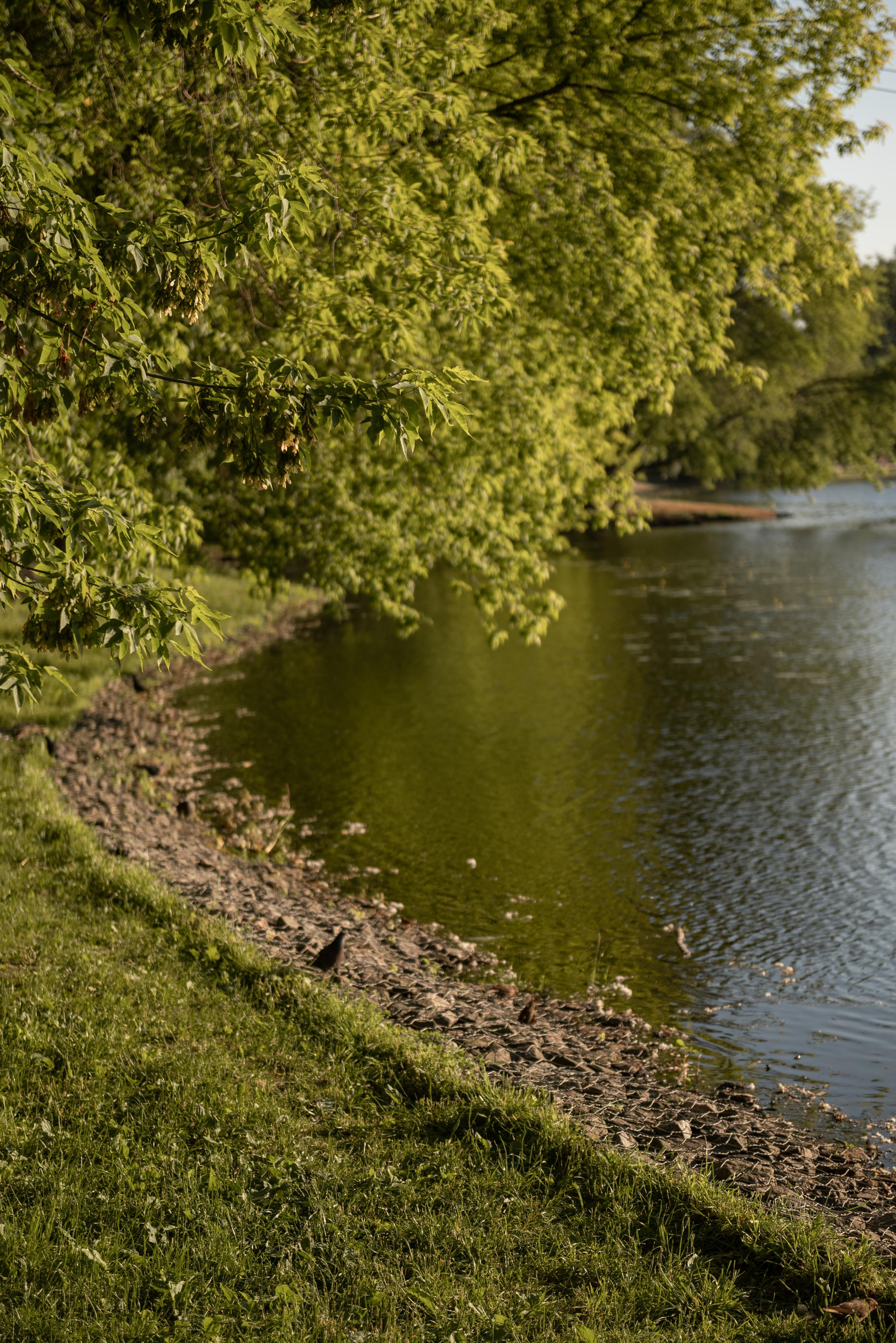 Анютка. Свадебный фотограф Москва и МО Марина Мышко