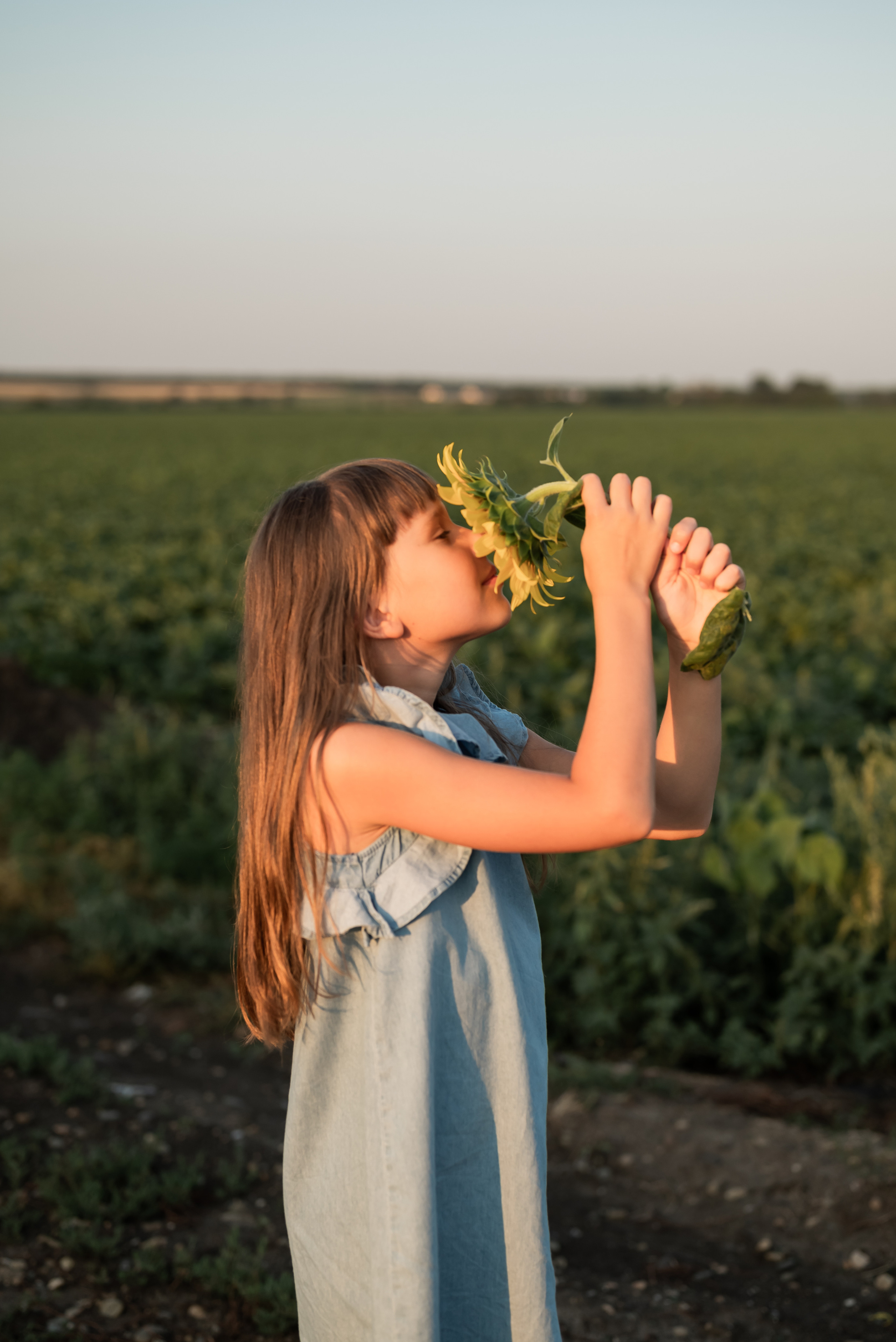 В поле. Свадебный фотограф Москва и МО Марина Мышко