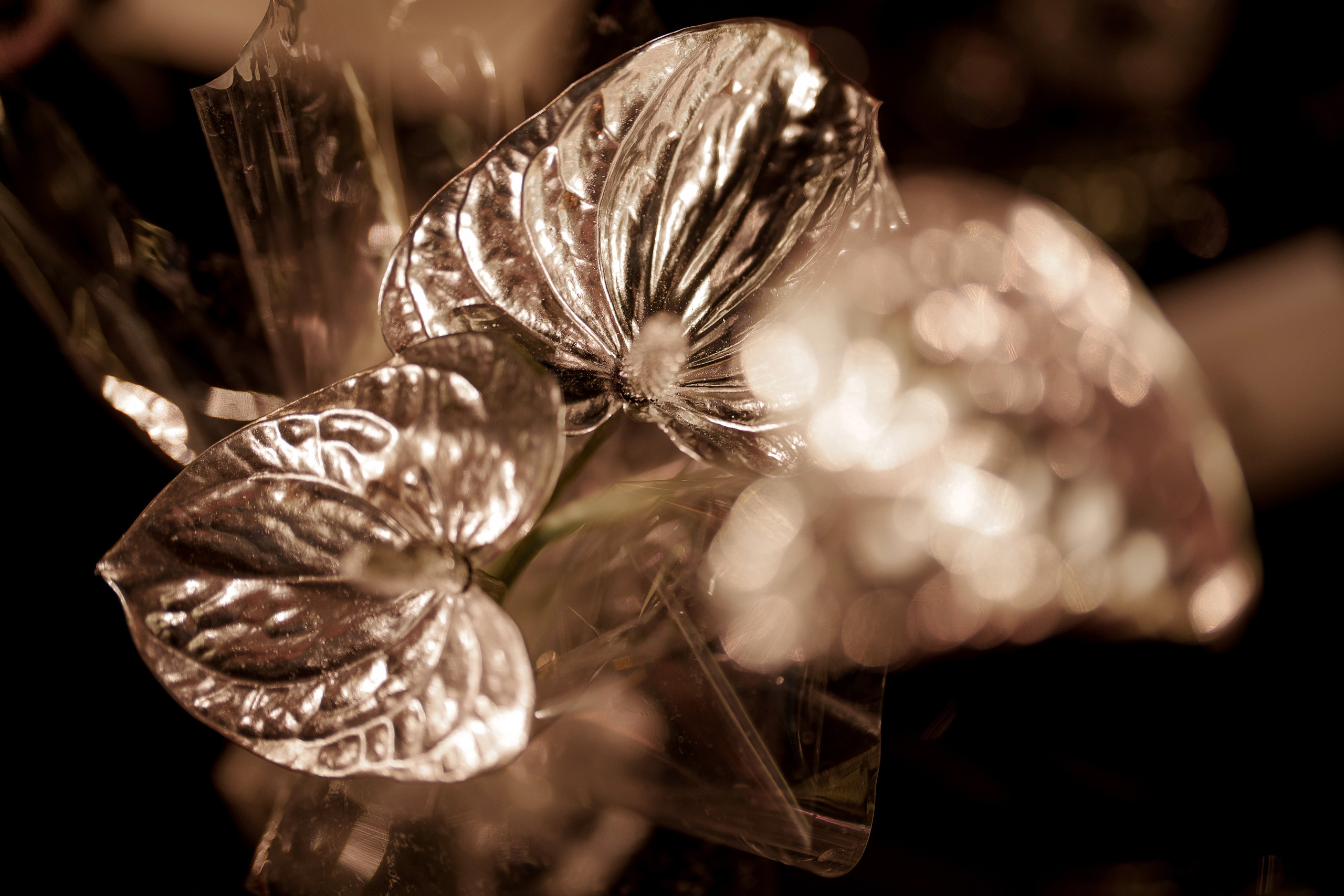 1. Свадебный фотограф Марина Бобкова в Липецке, Воронеже, Москва