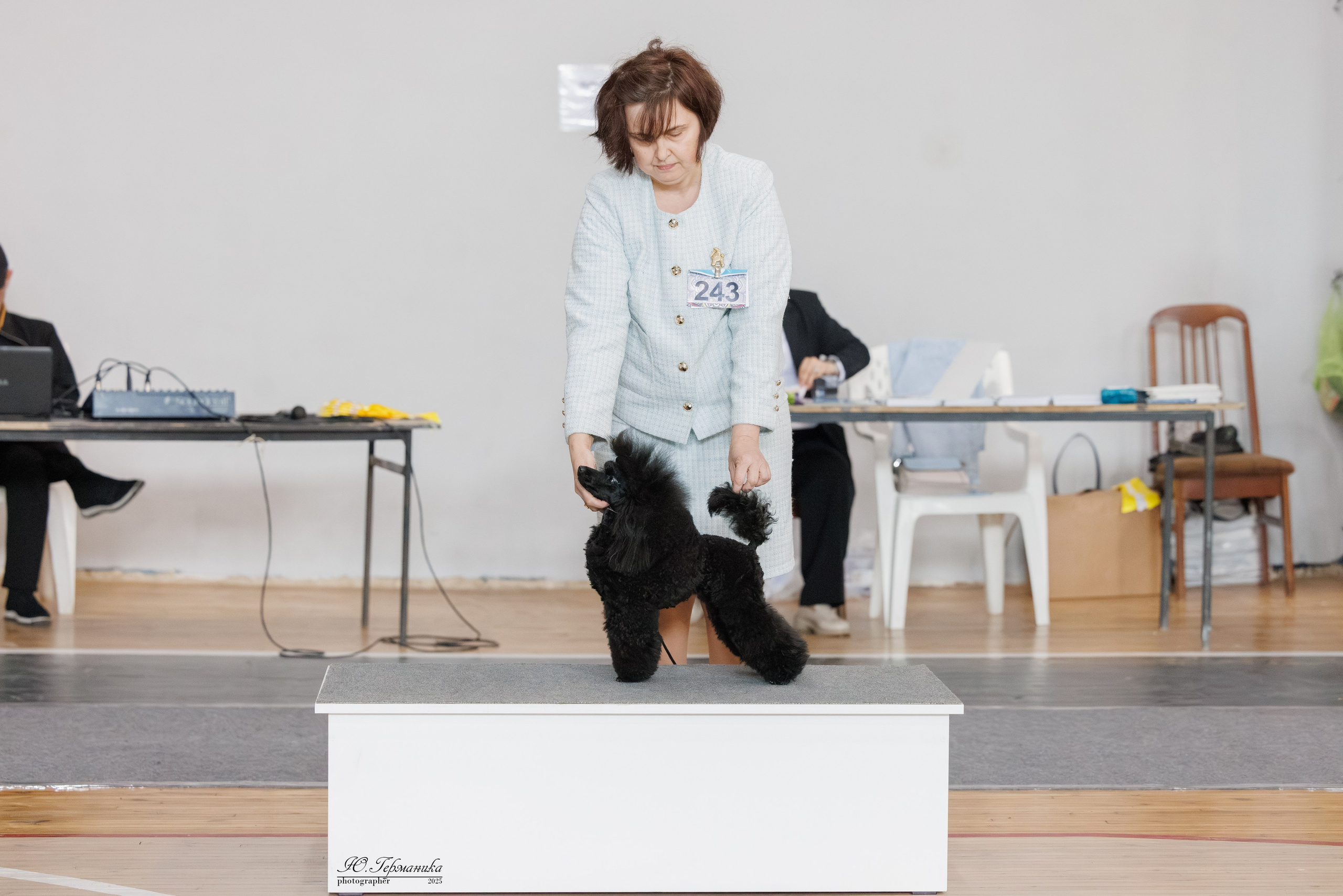 Ереван 2х CACIB 29-30.04.2025. Фотограф-анималист Юлия Германика