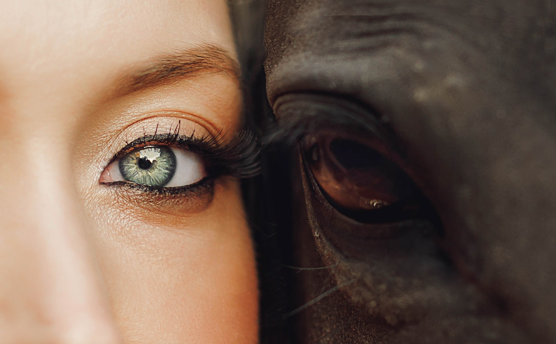 Детский и семейный фотограф Таганрог