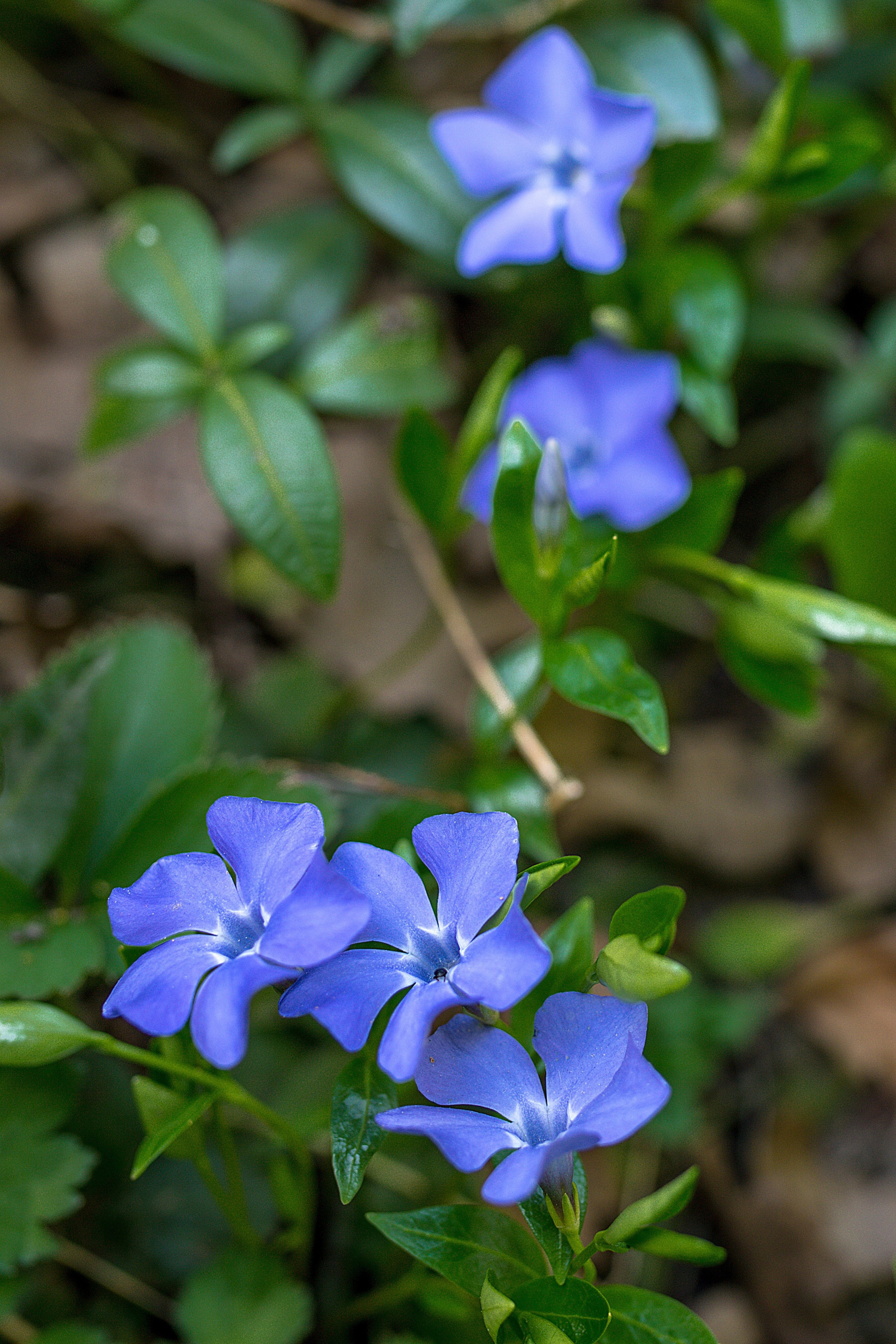 Наша мать — природа. Фотограф Владимир Артамонов