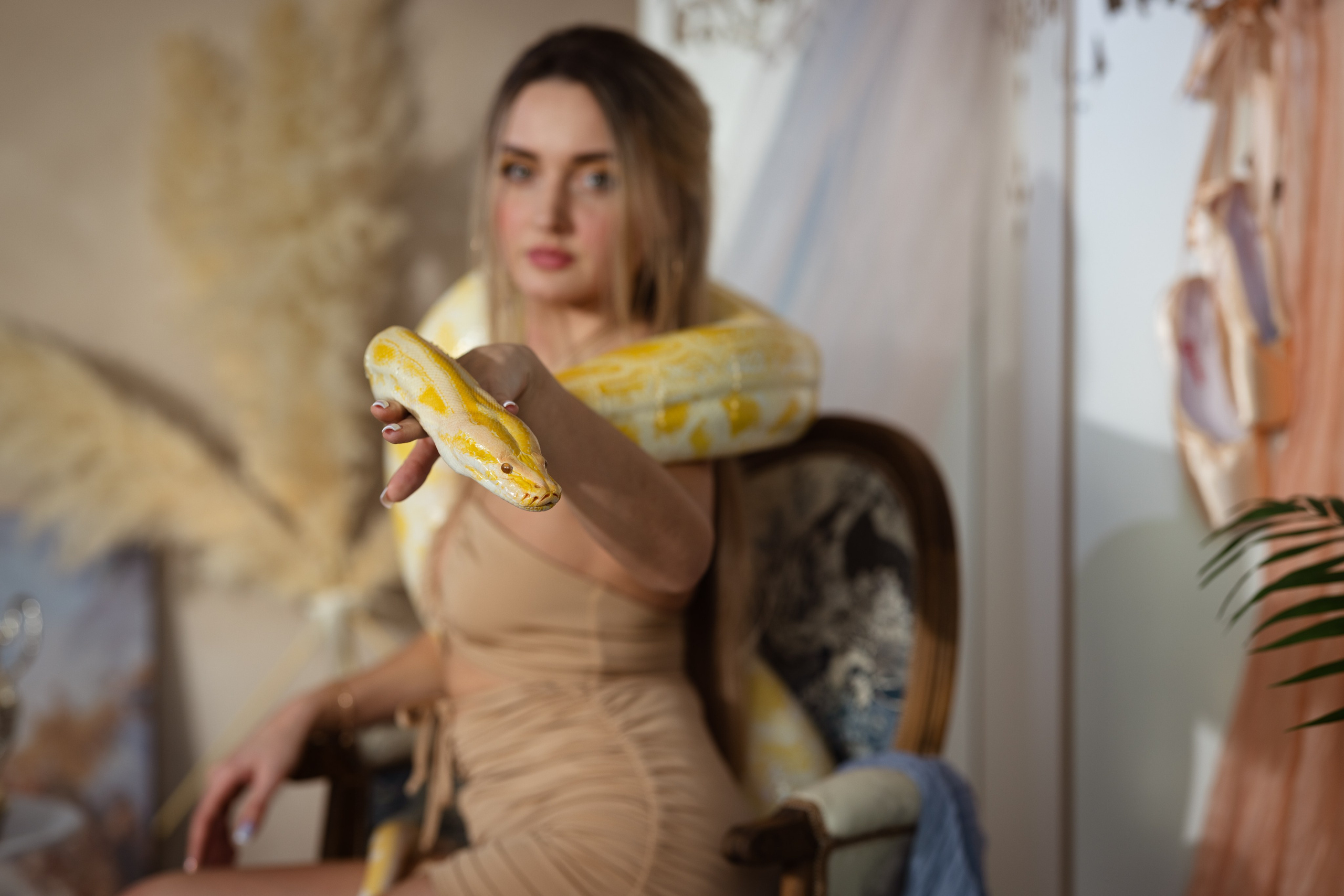 Фотосессия со змеёй в студии. г. Тула. Фотограф в Туле — Борисов Николай