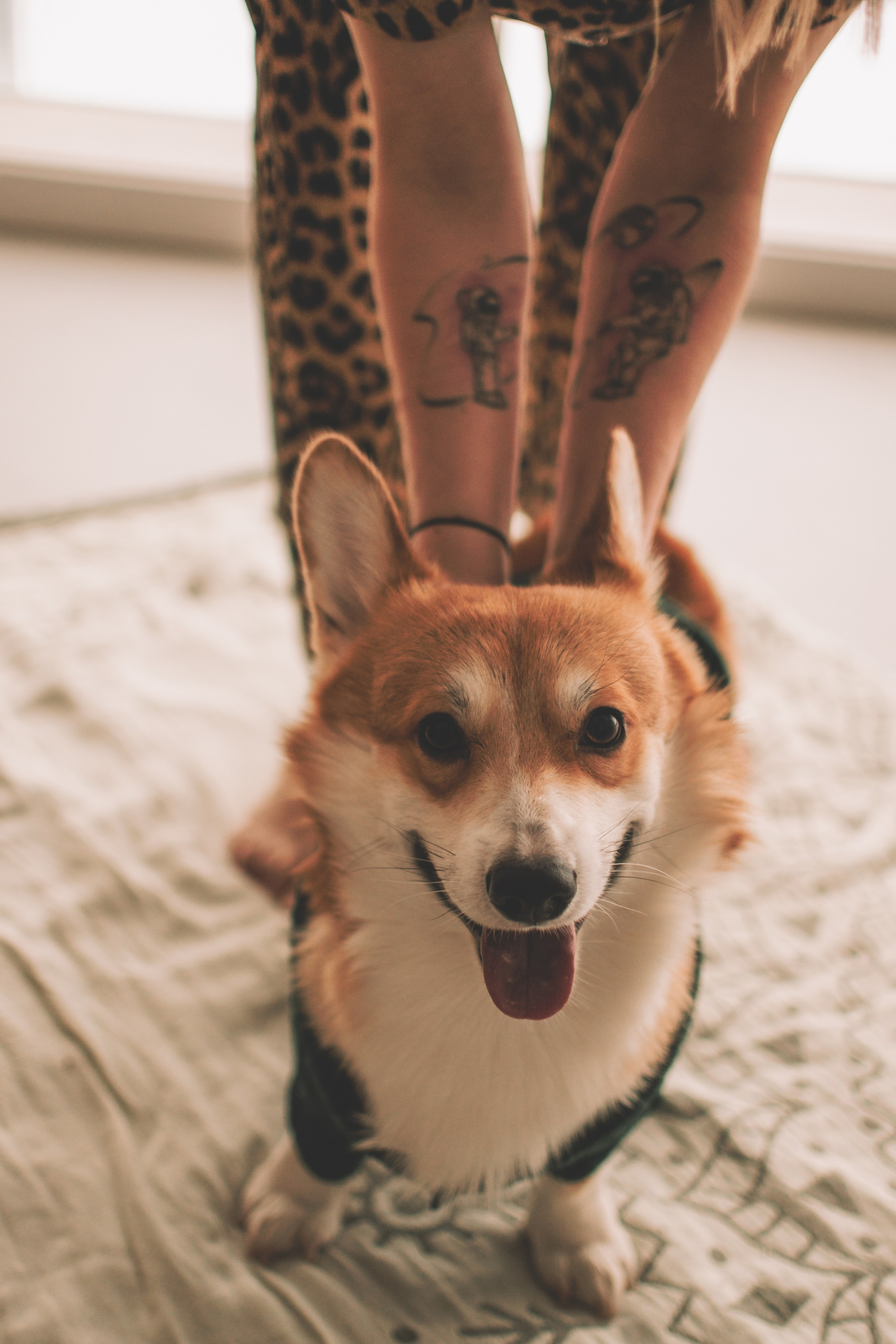 Евгения+Милкис. Семейный и свадебный фотограф Губкинский и Ставрополь