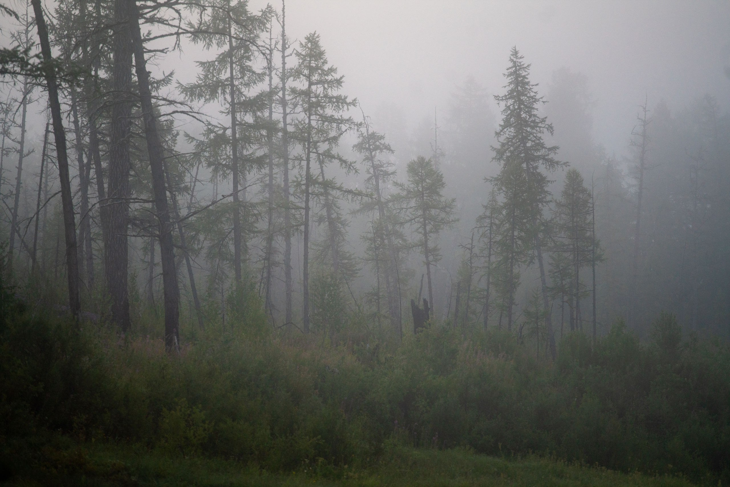 Эвенкия. Фотограф в Красноярске Нерозя Александр. Пейзаж, природа, портрет