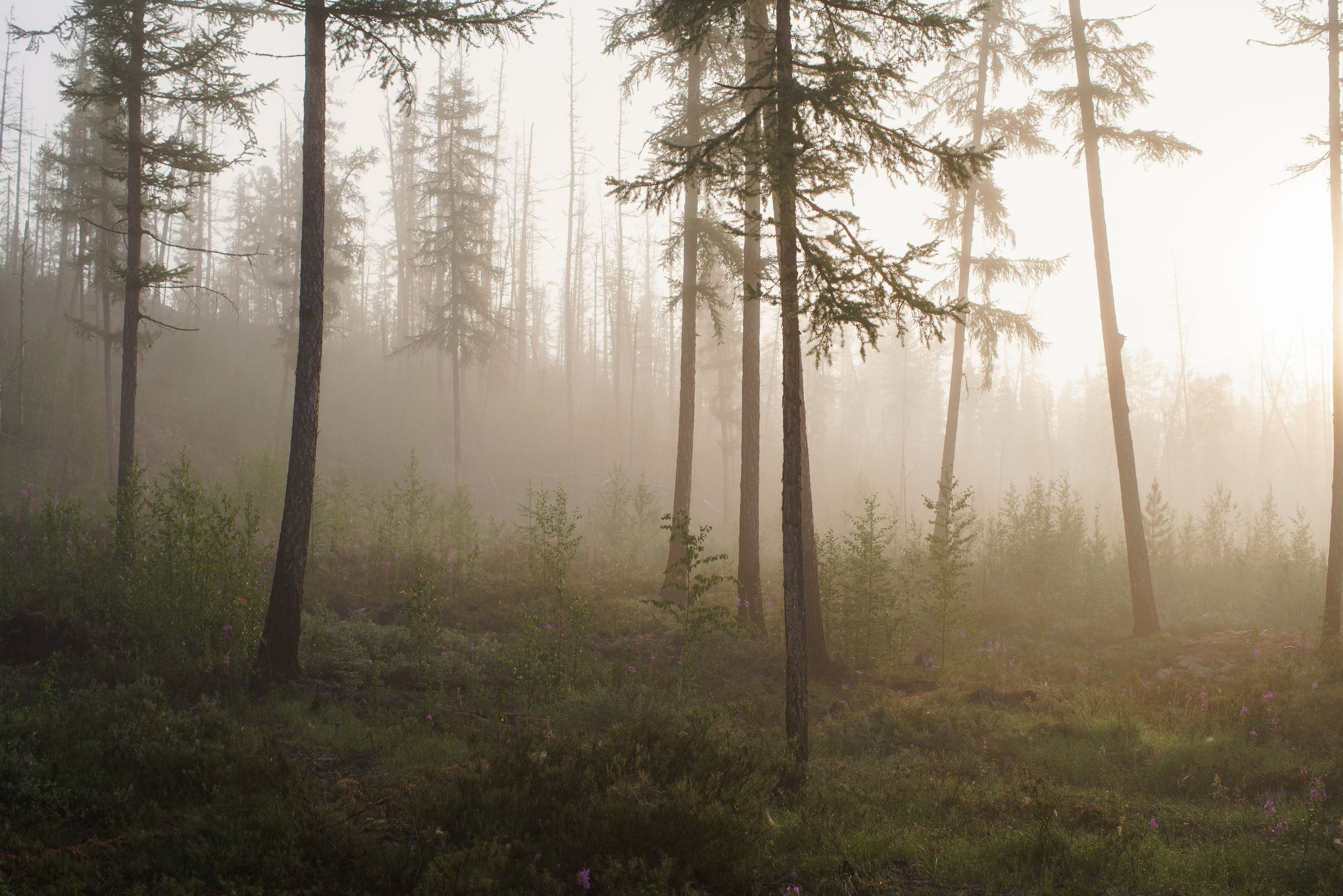 Эвенкия. Фотограф в Красноярске Нерозя Александр. Пейзаж, природа, портрет