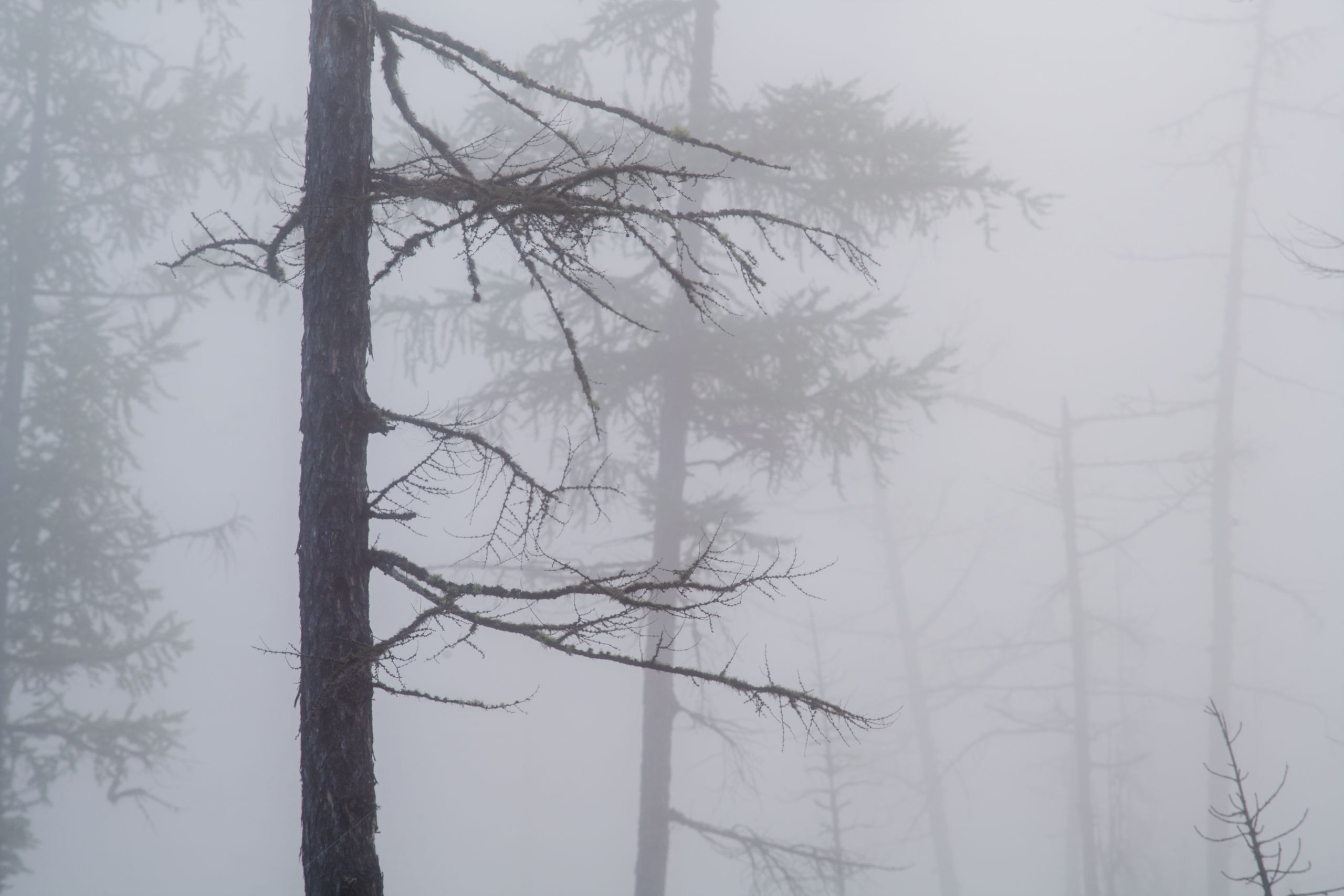 Эвенкия. Фотограф в Красноярске Нерозя Александр. Пейзаж, природа, портрет