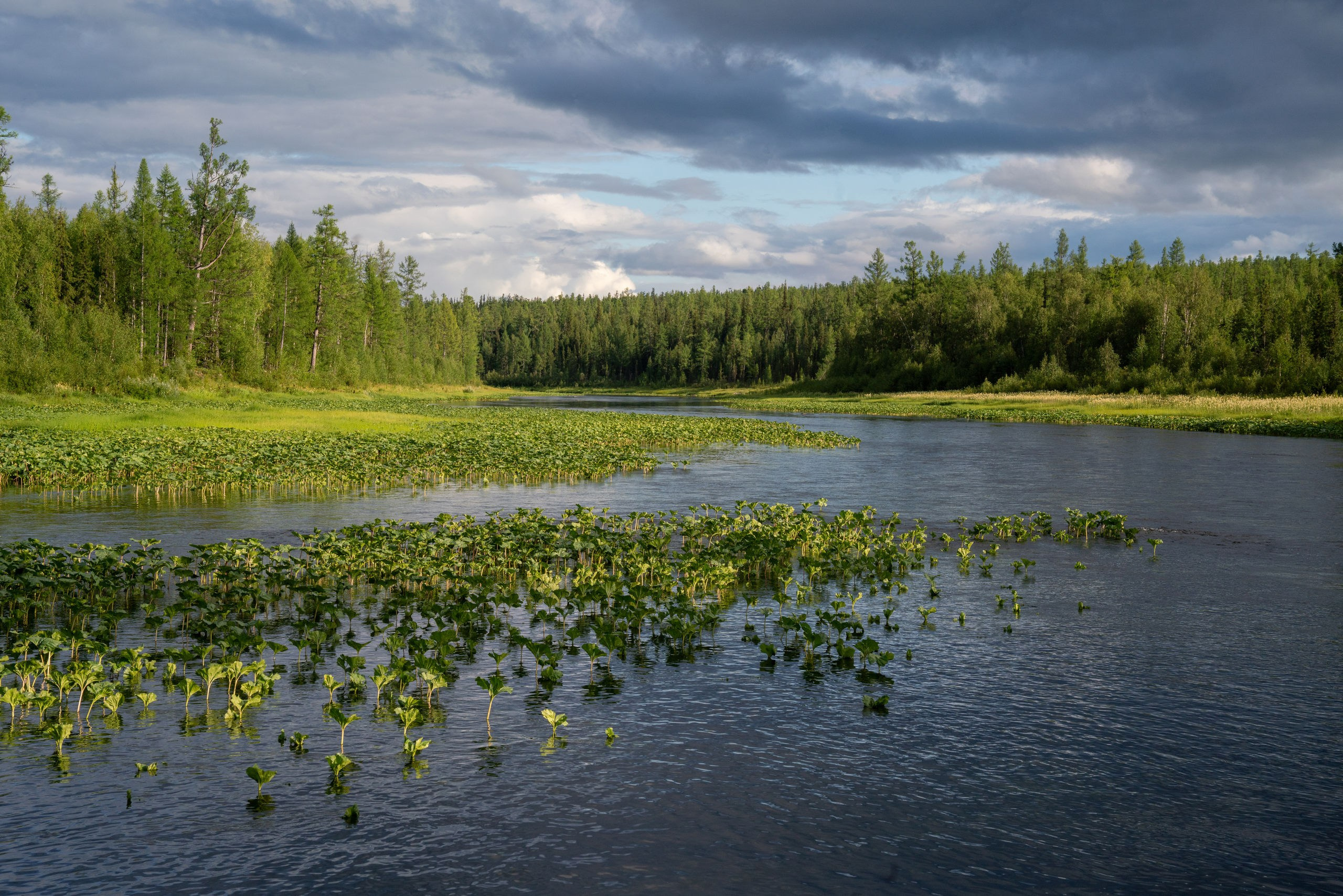 Эвенкия. Фотограф в Красноярске Нерозя Александр. Пейзаж, природа, портрет