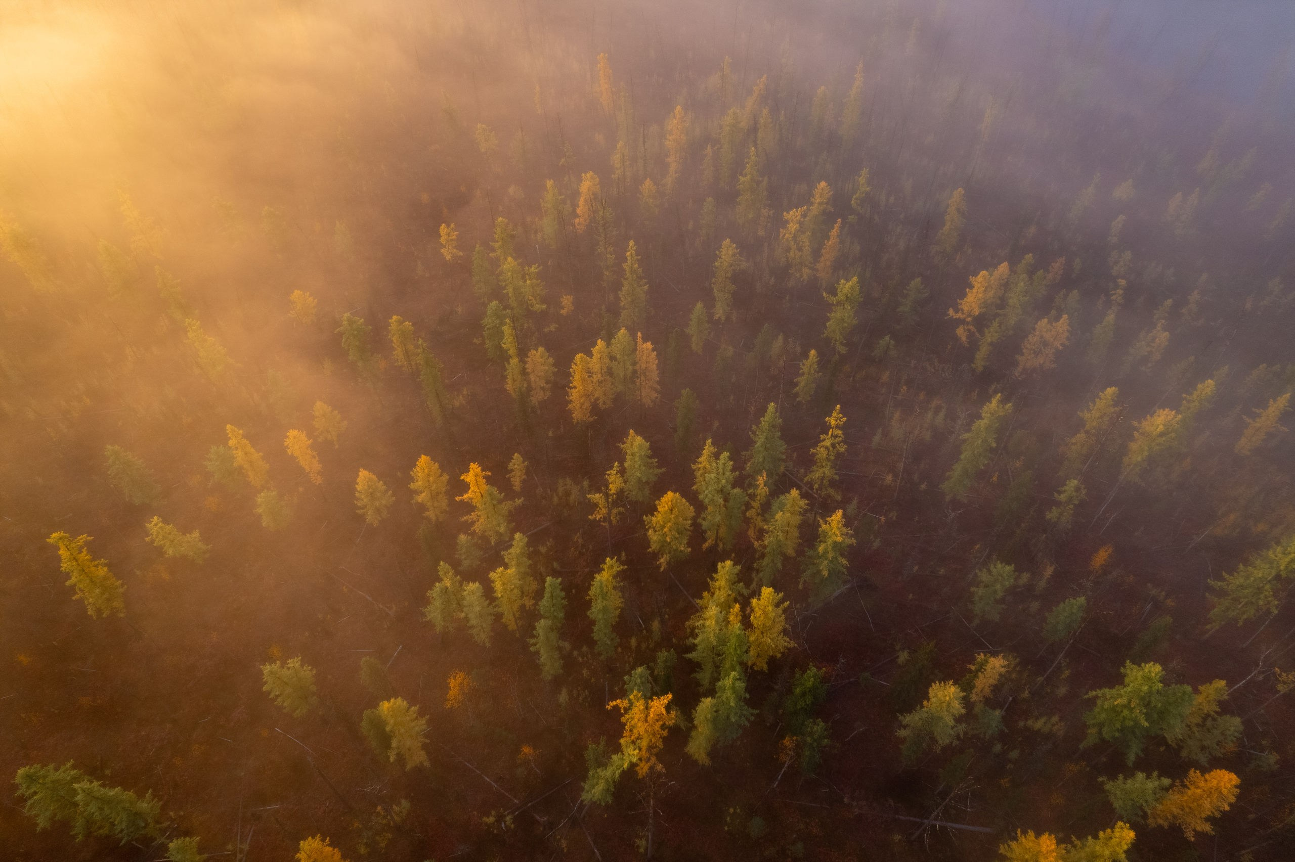 Эвенкия. Фотограф в Красноярске Нерозя Александр. Пейзаж, природа, портрет