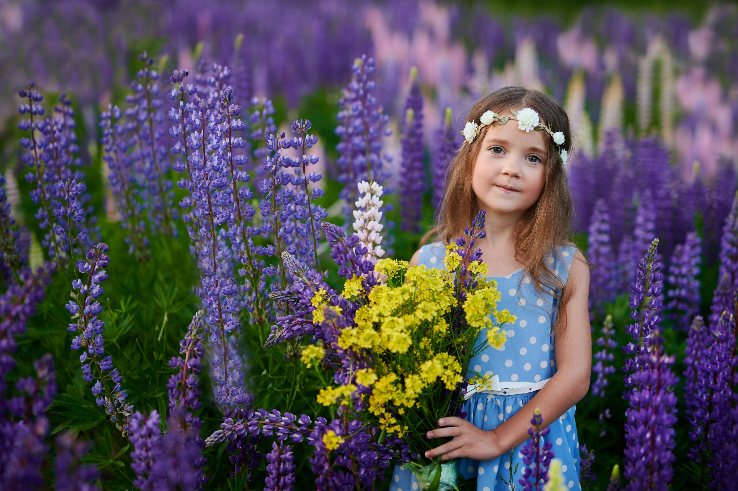 Счастье в люпинах. Портретный, семейный и свадебный фотограф в Санкт-Петербурге и в Пушкине Ширяев Денис