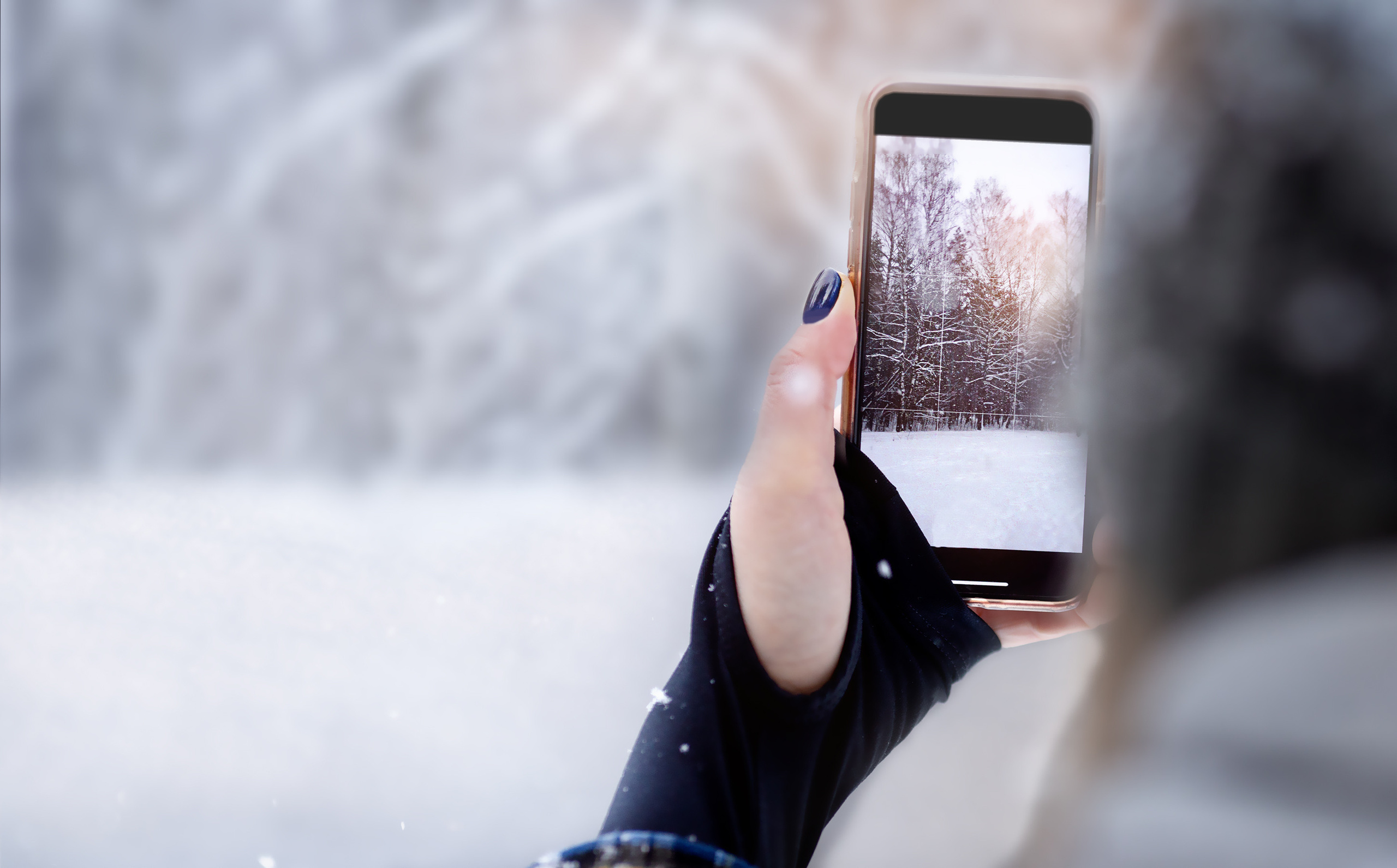 Зимний лес. Фотограф СПб Юлия Ерошевская, предметный фотограф