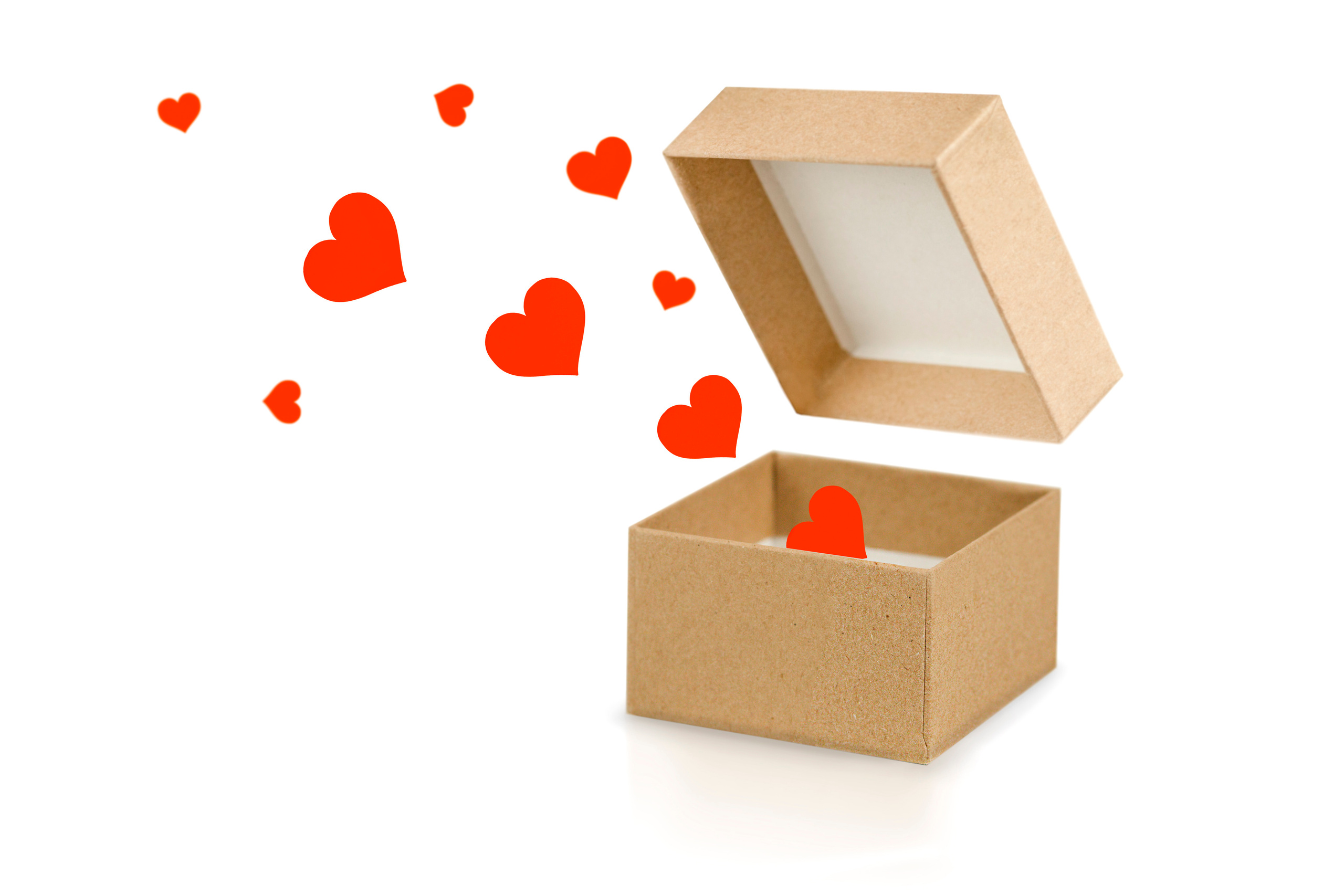 Хоз. товары- Спорт_игрушки. Фотограф СПб Юлия Ерошевская, предметный фотограф