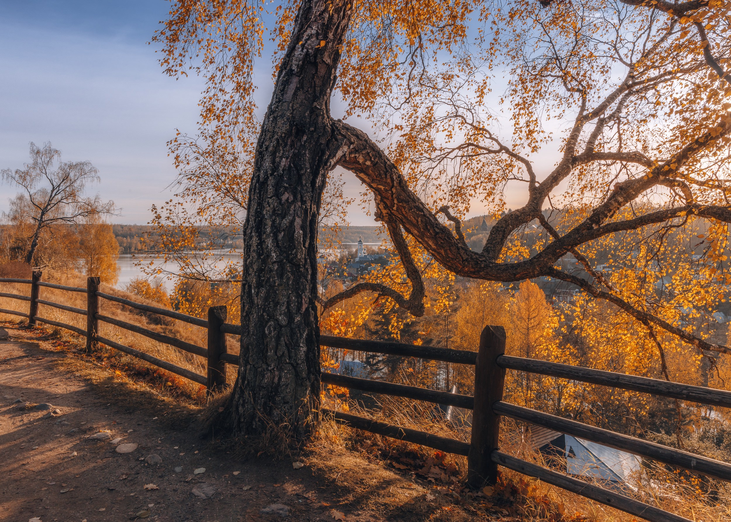 Пейзаж • Landscape. Елена Ивановой • Профессиональный фотограф