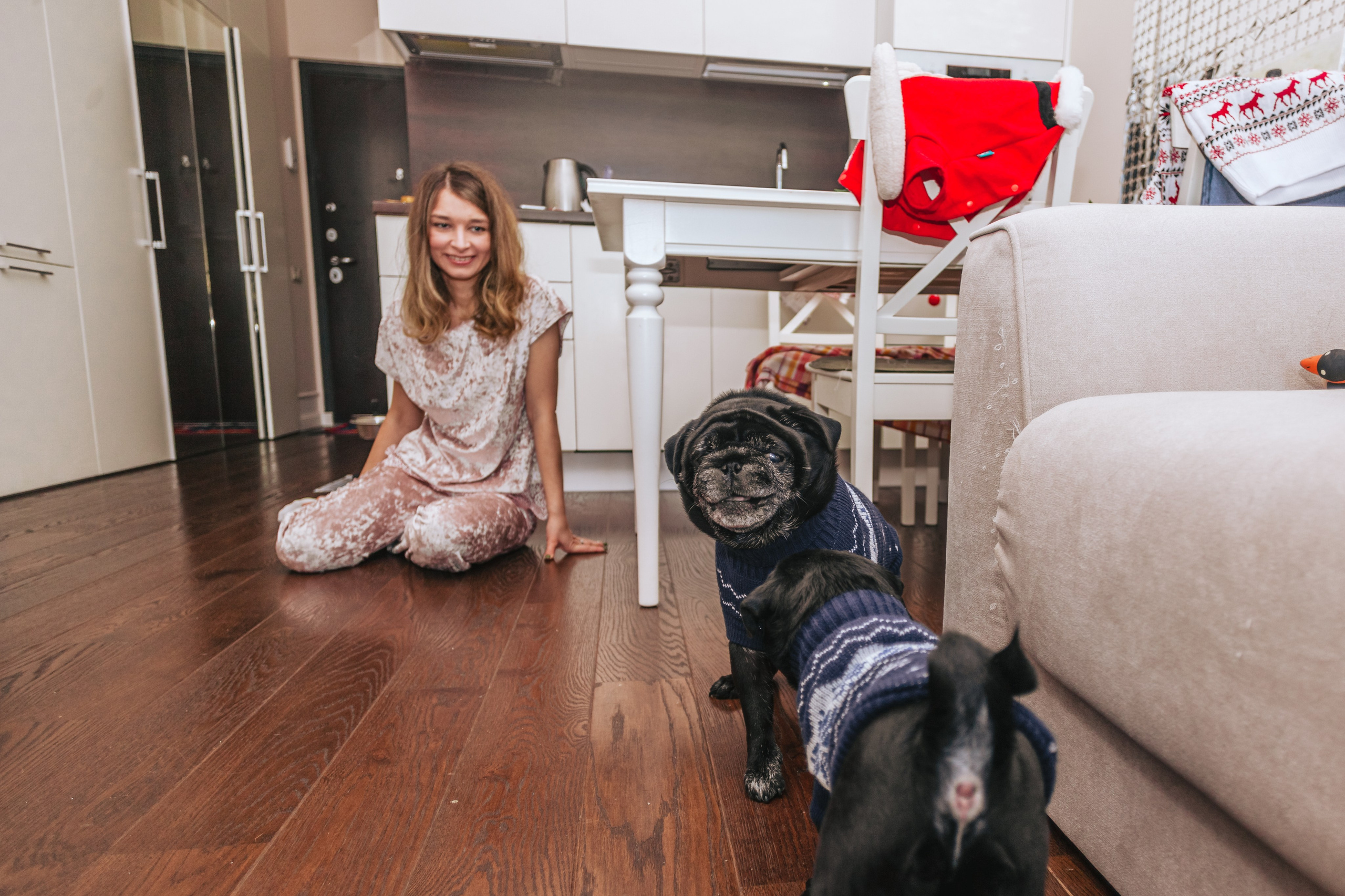 Домашняя фотосессия Оли и двух ее мопсов. Фотограф-анималист Татьяна Степанова