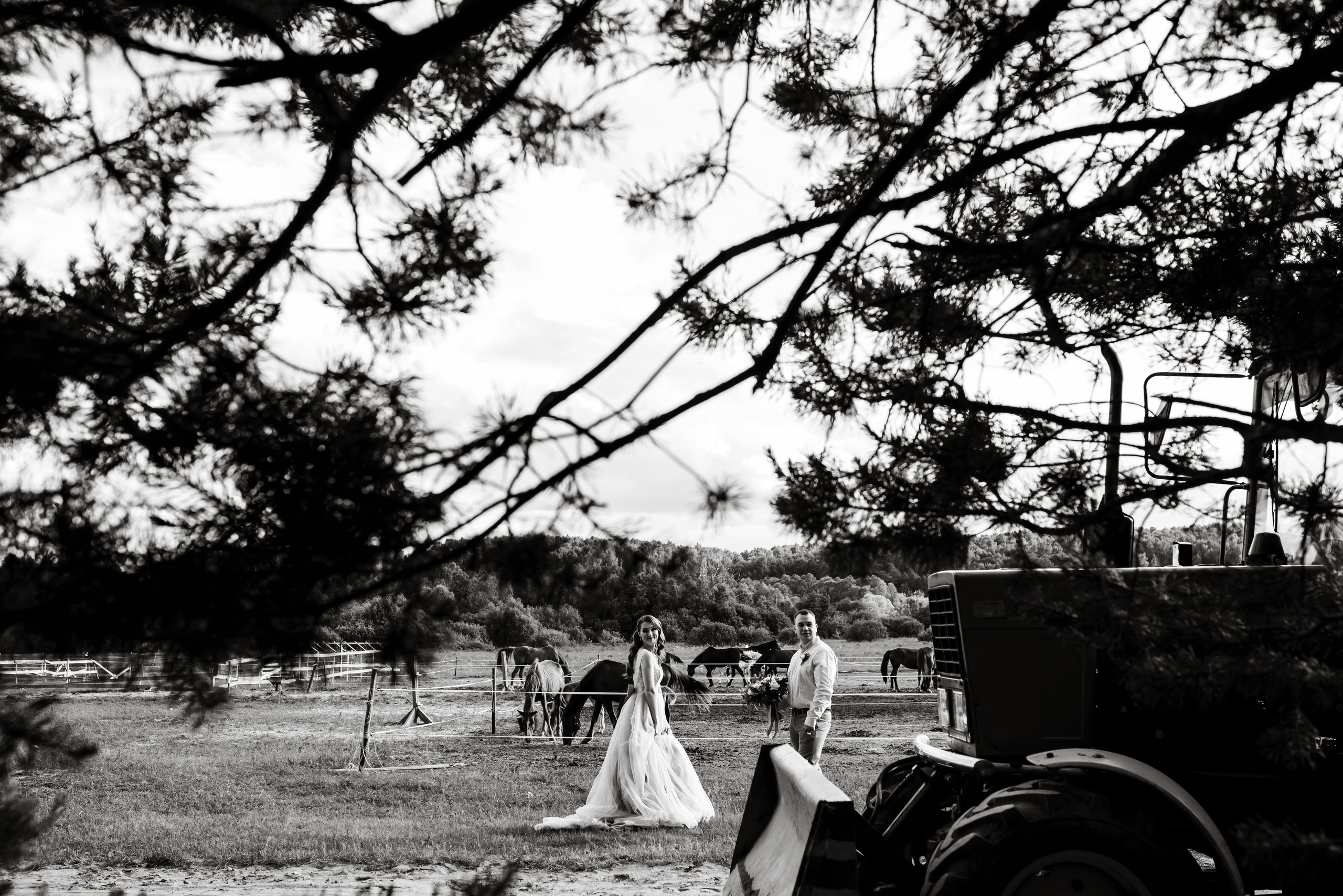 Wedding day Николай + Анастасия. Свадебный фотограф Колесников Антон