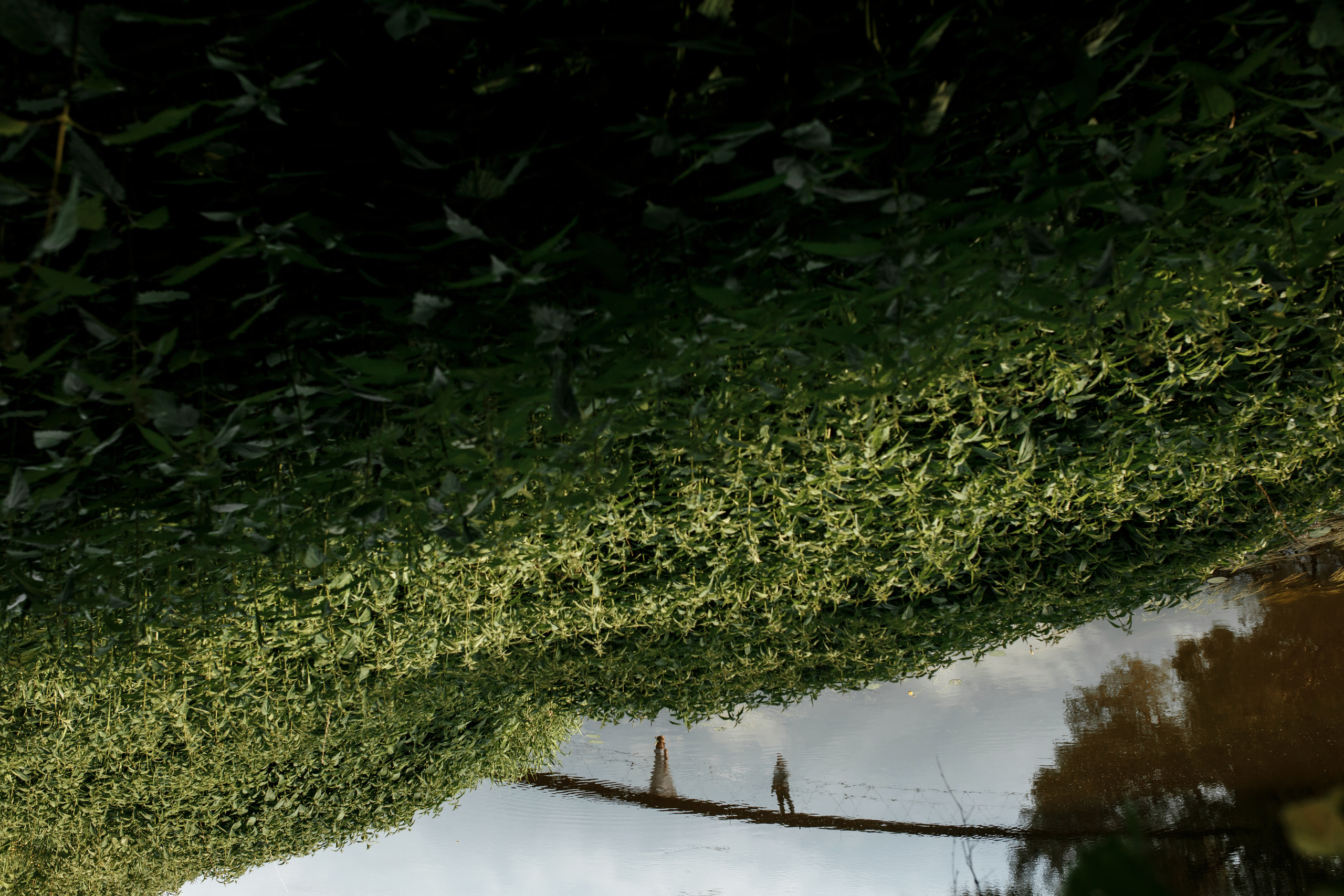 Wedding day Николай + Анастасия. Свадебный фотограф Колесников Антон