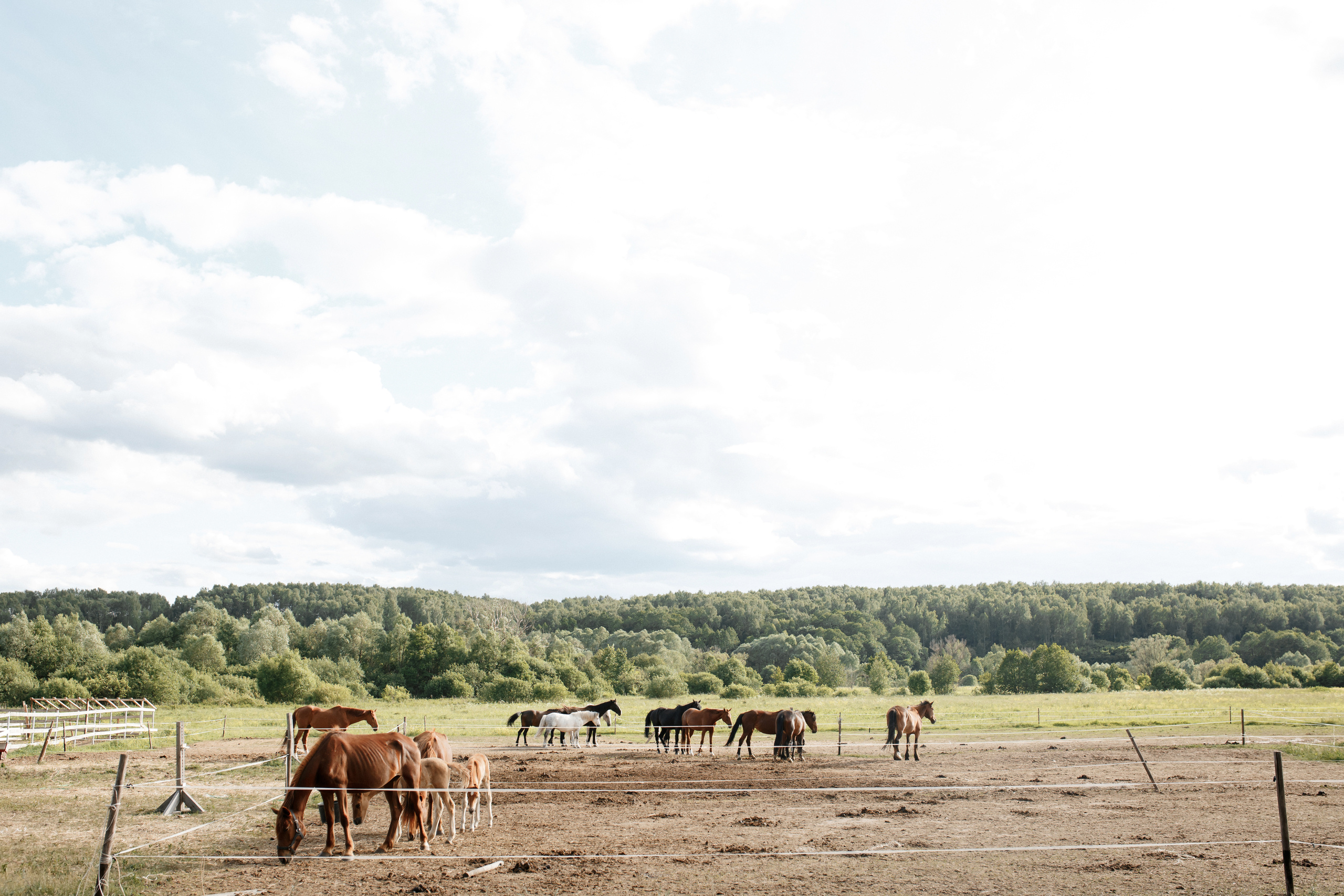 Wedding day Николай + Анастасия. Свадебный фотограф Колесников Антон