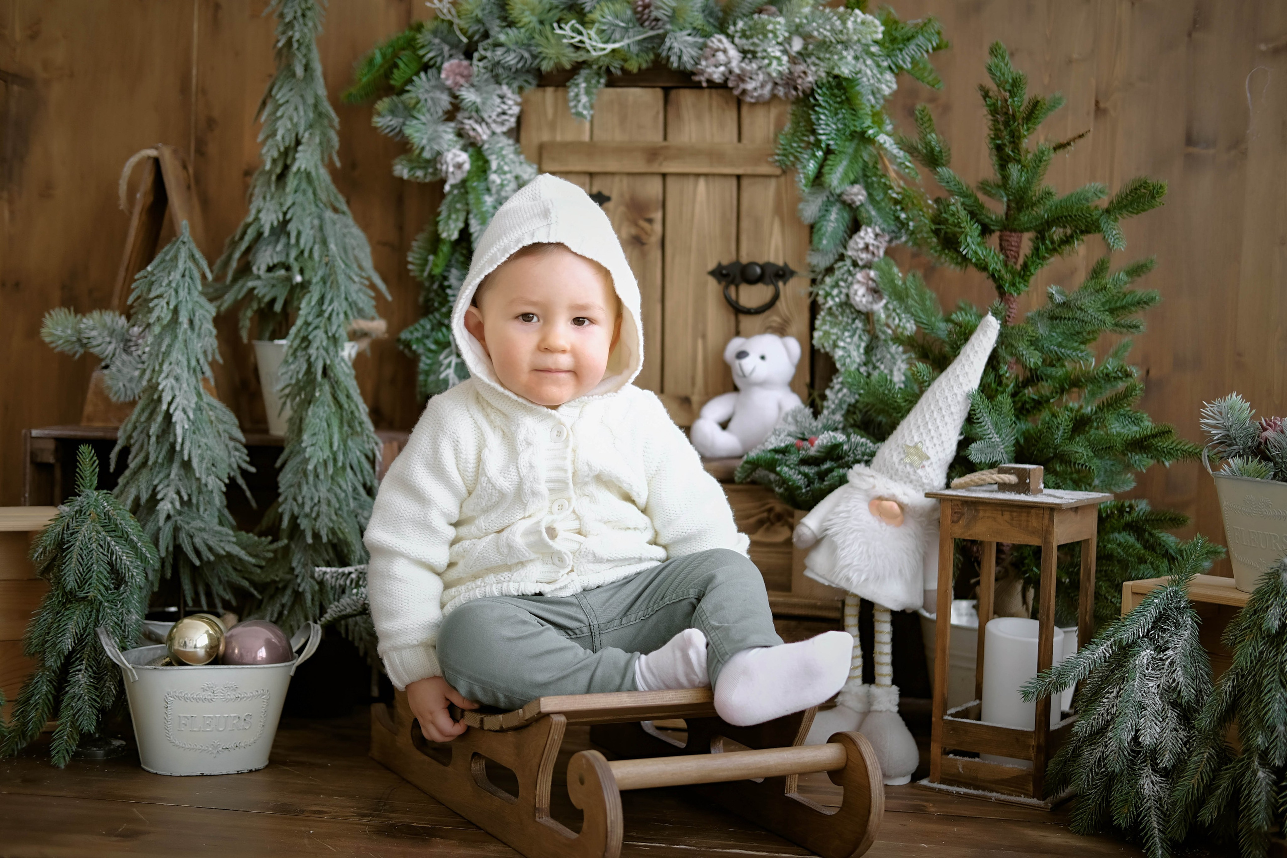 Новогодняя 1. Фотограф в Самаре Татьяна Дубаносова