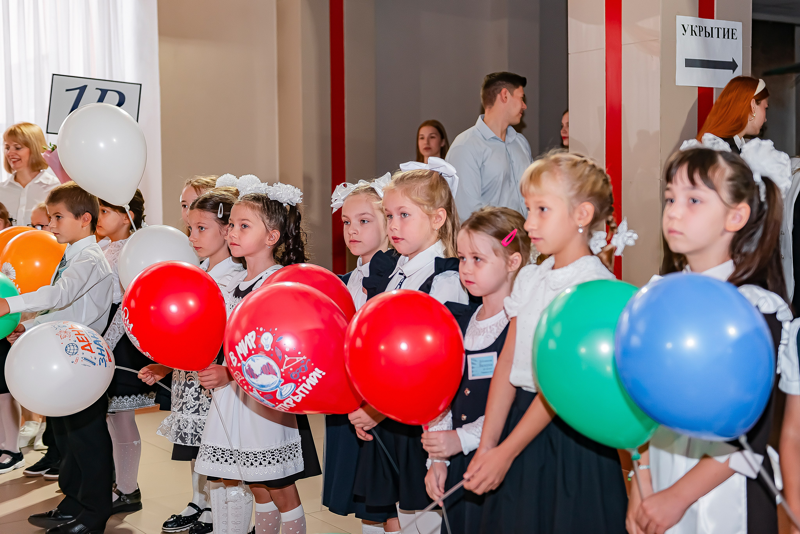 1 «В» | Гимназия № 3| г. Белгород |2024. ALBUMIA