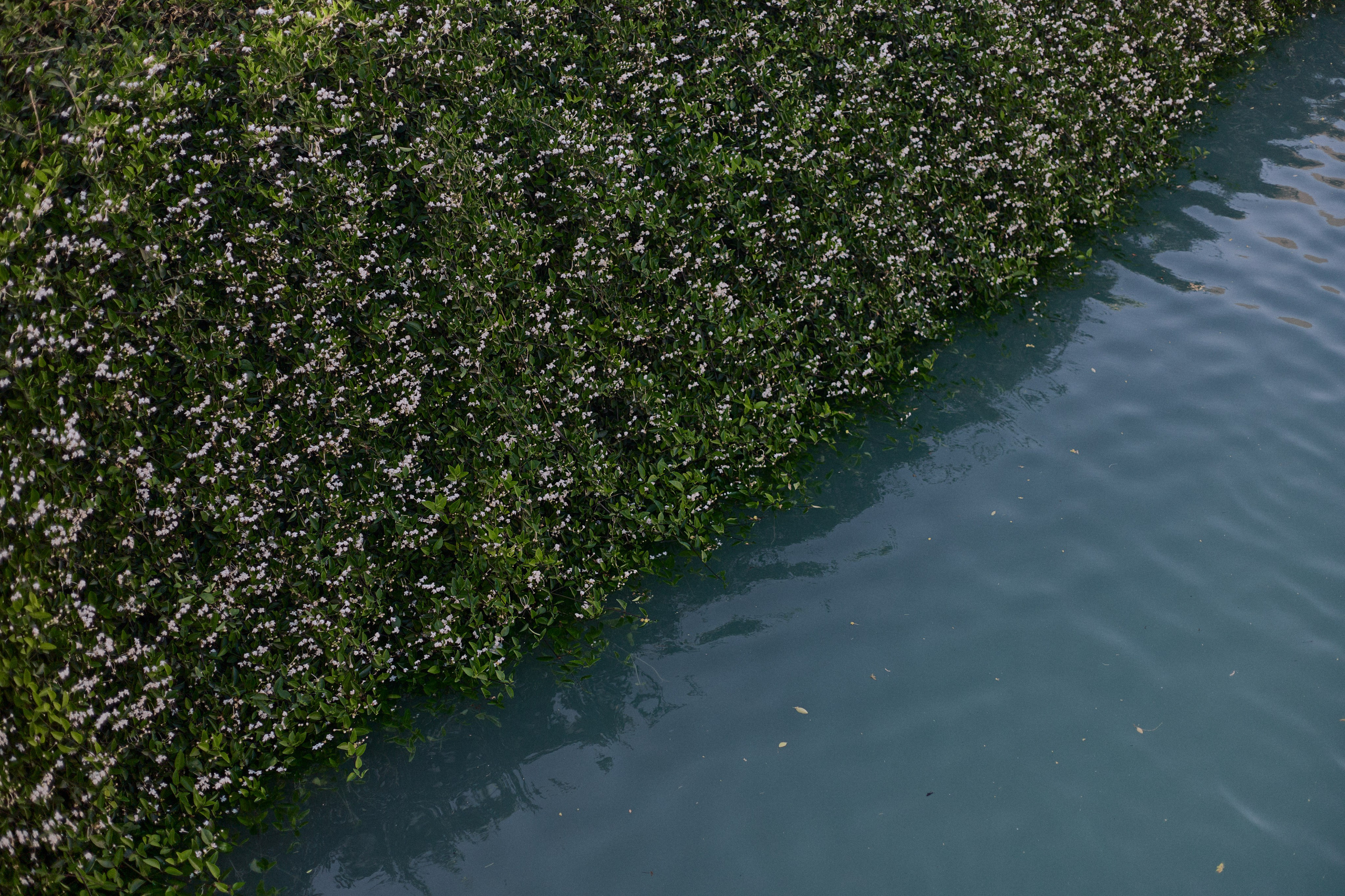 Другое 3. Jorgis Talè — photographer, kind person, teacher of arts and other mag