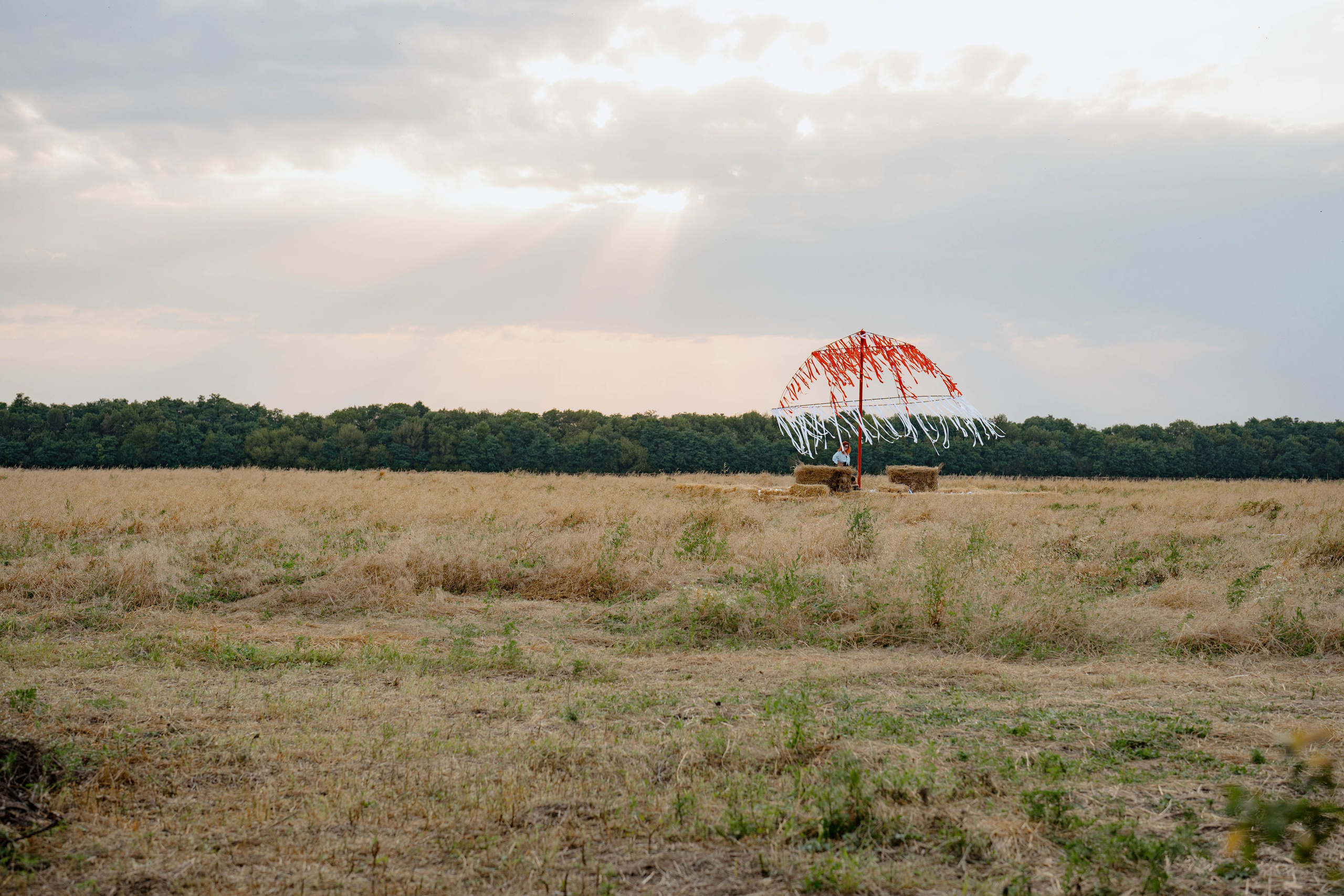 ASS FAMILY | СОН В ДЕРЕВНЕ | АВИАРЕЖИМ 8.0