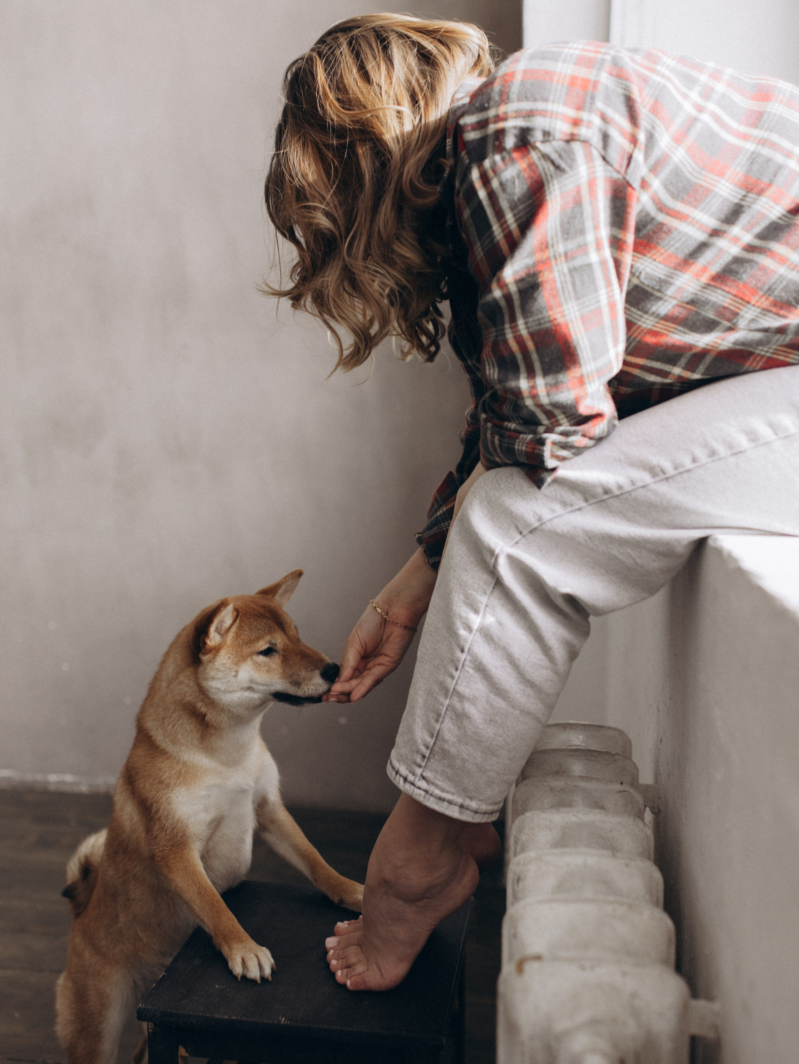 Мика и Настя. Фотограф-анималист в Москве Кириллова Татьяна