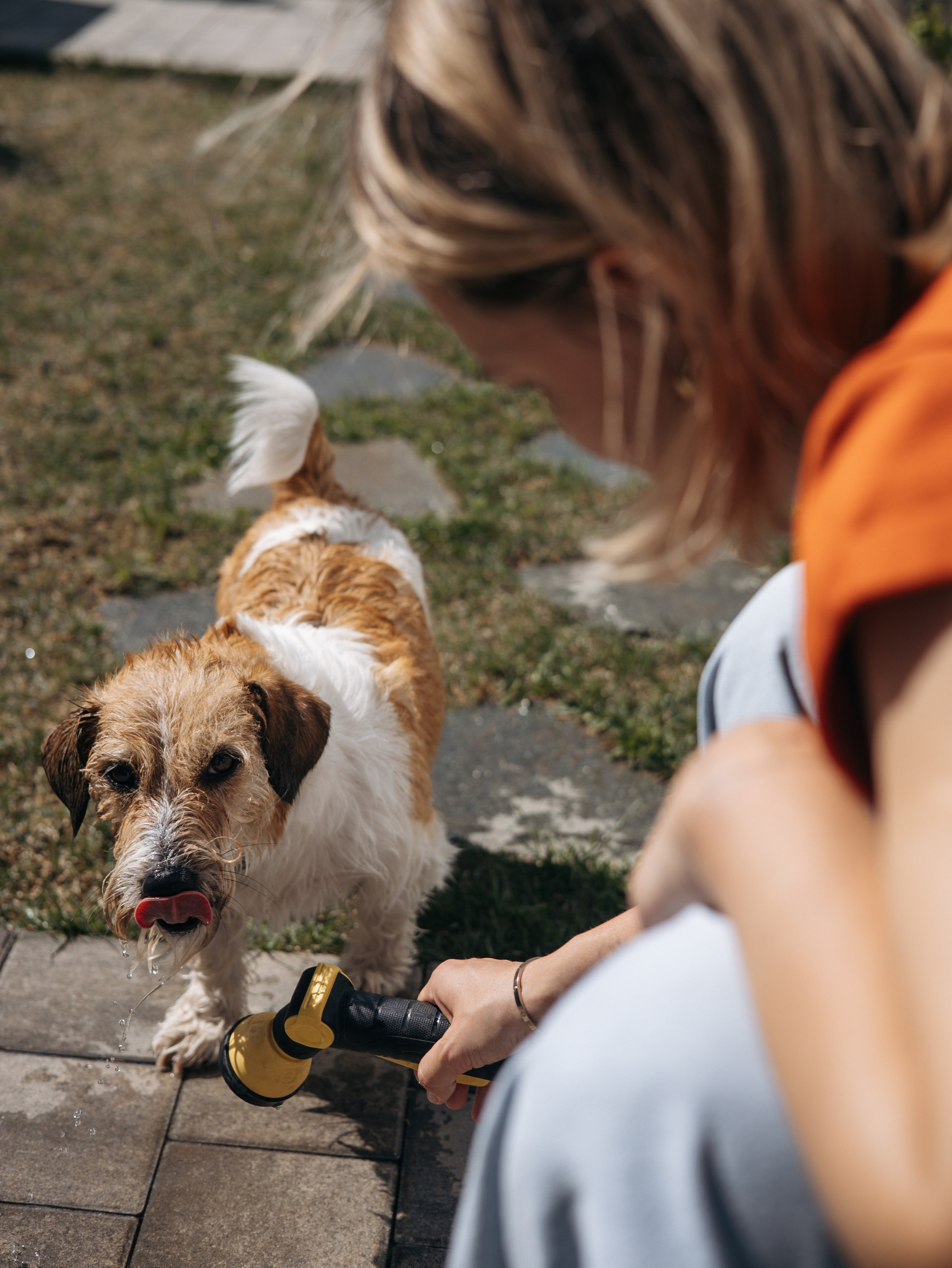 День рождение Зенита. Фотограф-анималист в Москве Кириллова Татьяна
