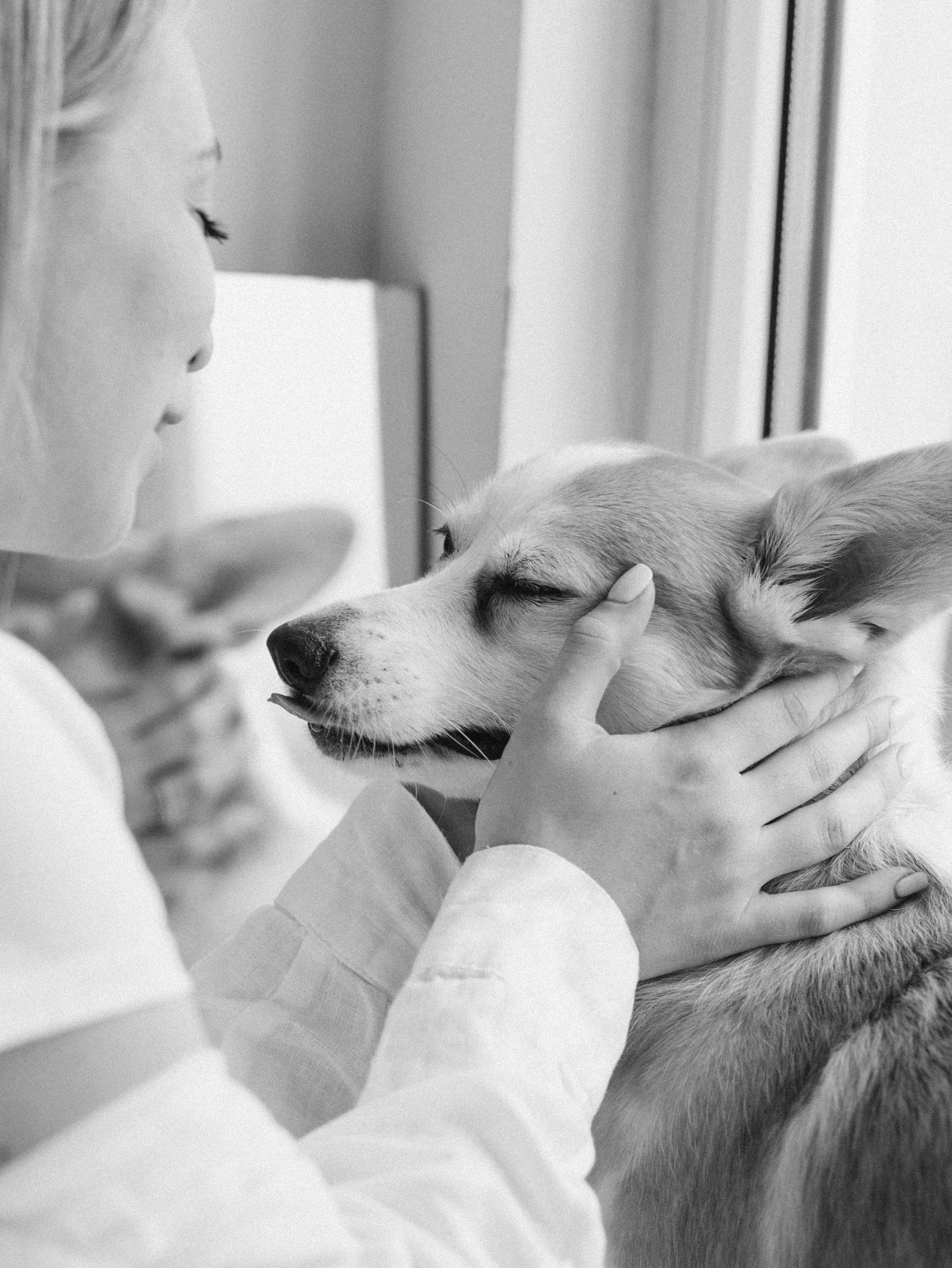 Оливка и Ника. Фотограф-анималист в Москве Кириллова Татьяна
