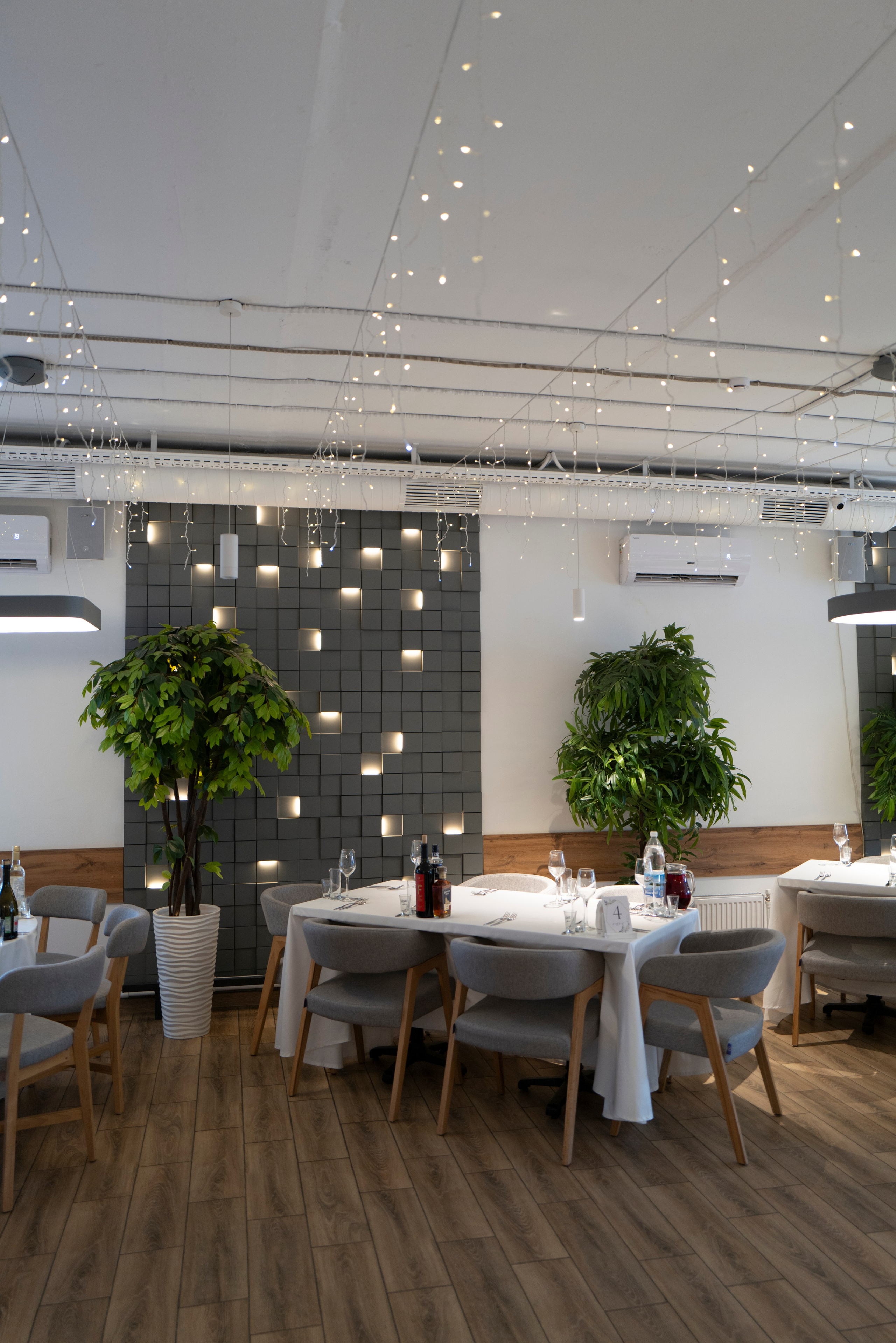 Рестораны. Maxon Magnusson