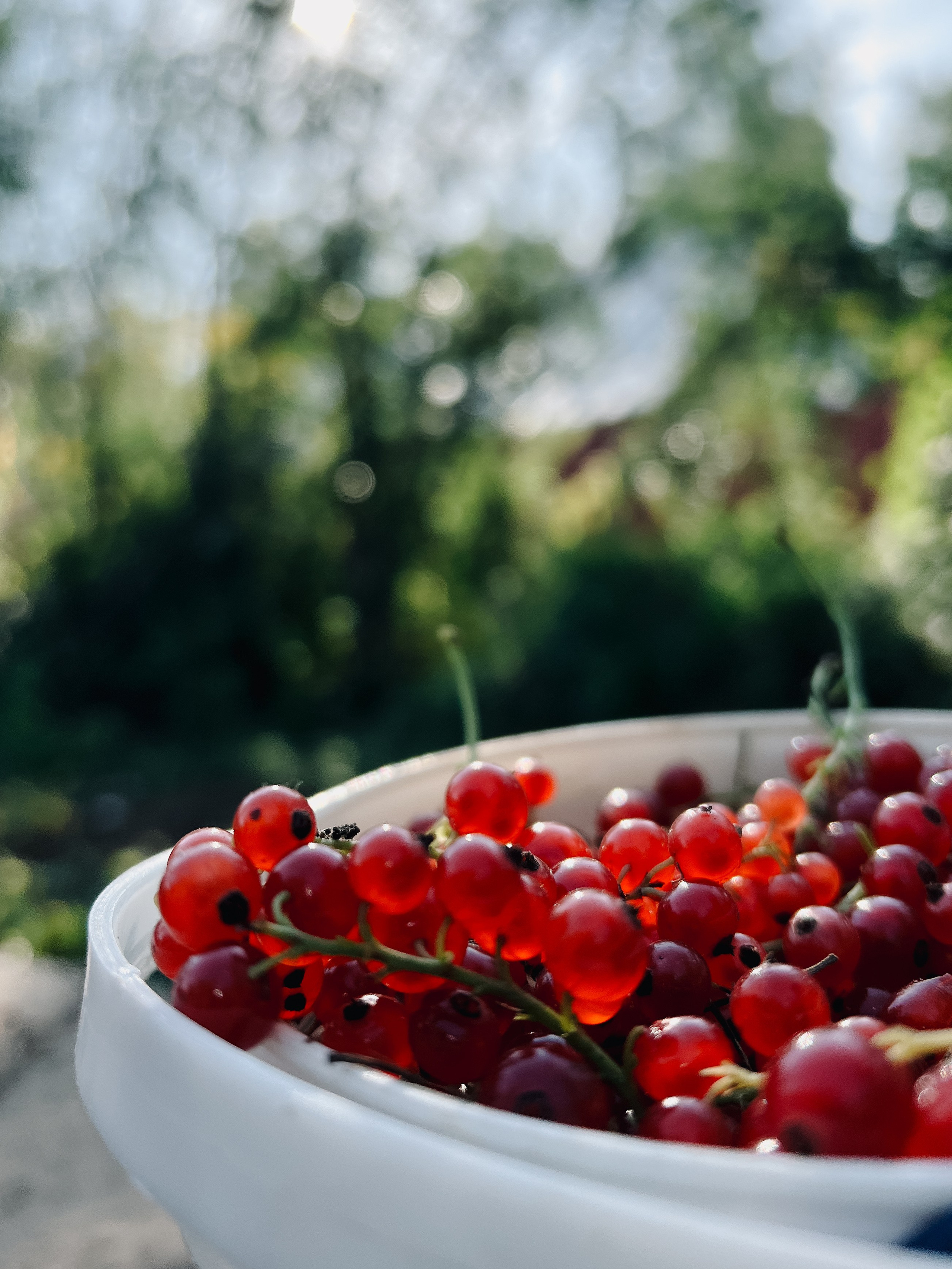Food. Алёна Стерхова — Предметный и портретный фотограф. Ижевск