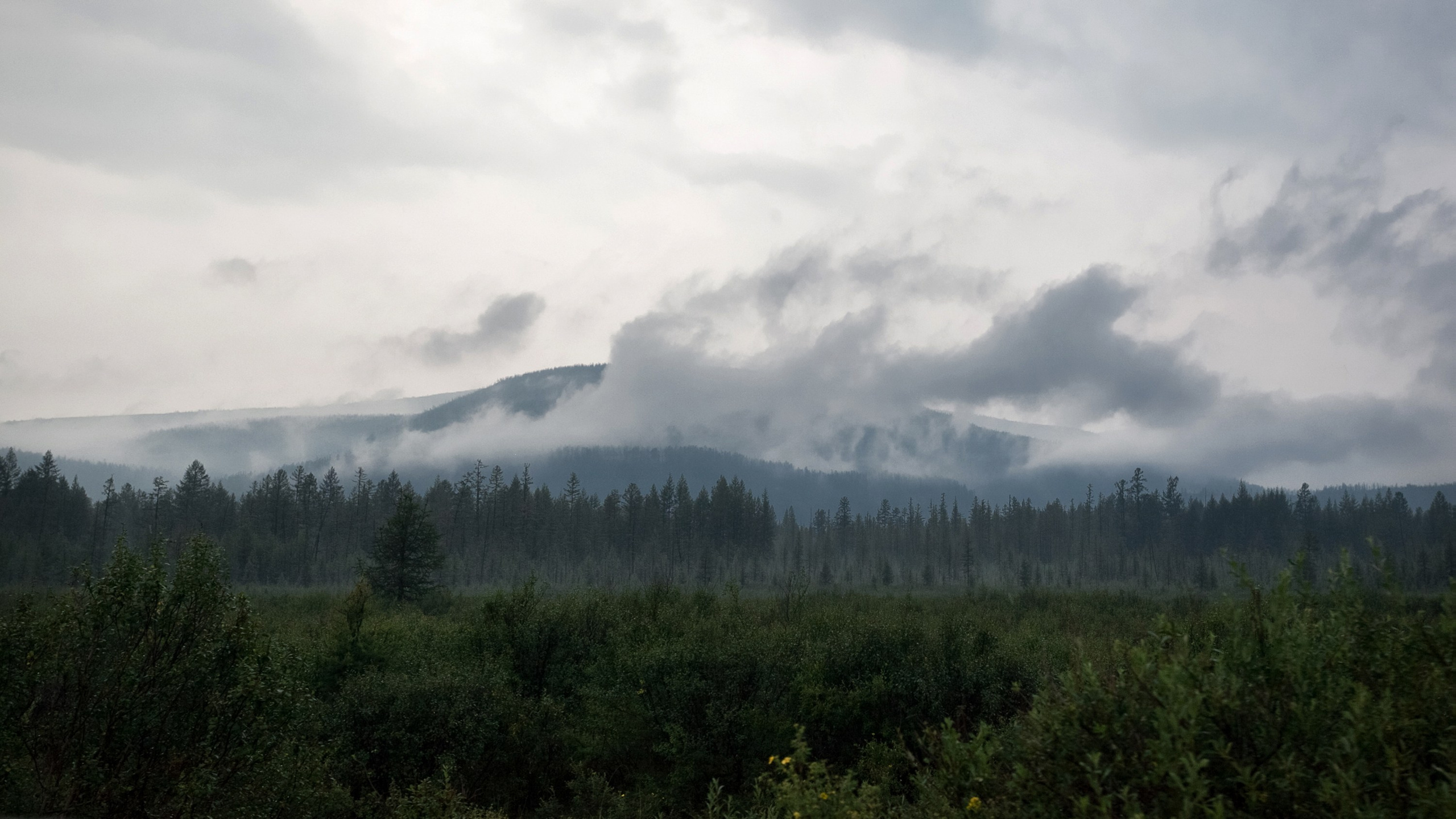 Природа и пейзажи / Nature and landscapes. Visual artist Olga Burmistrova