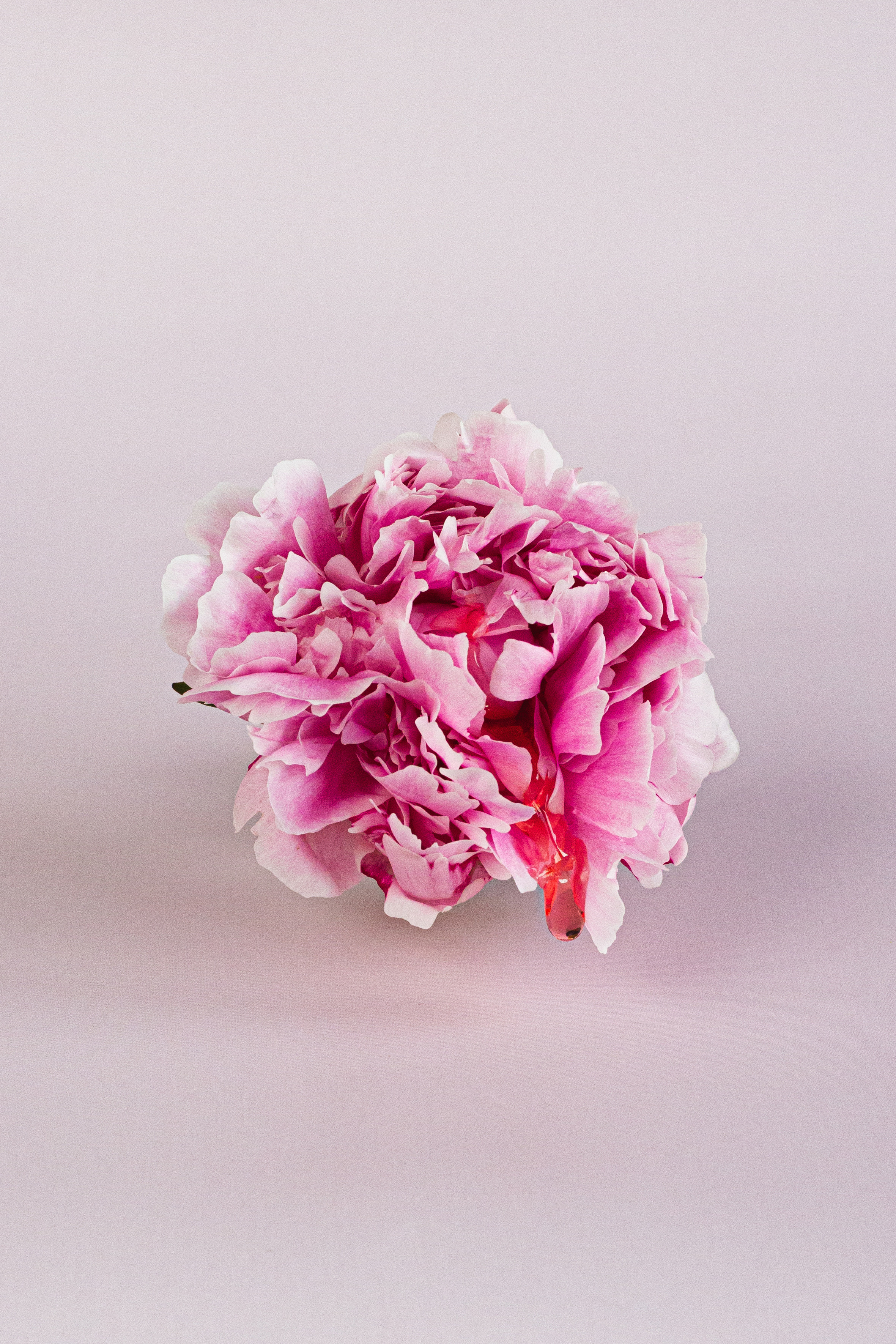 Для сексолога