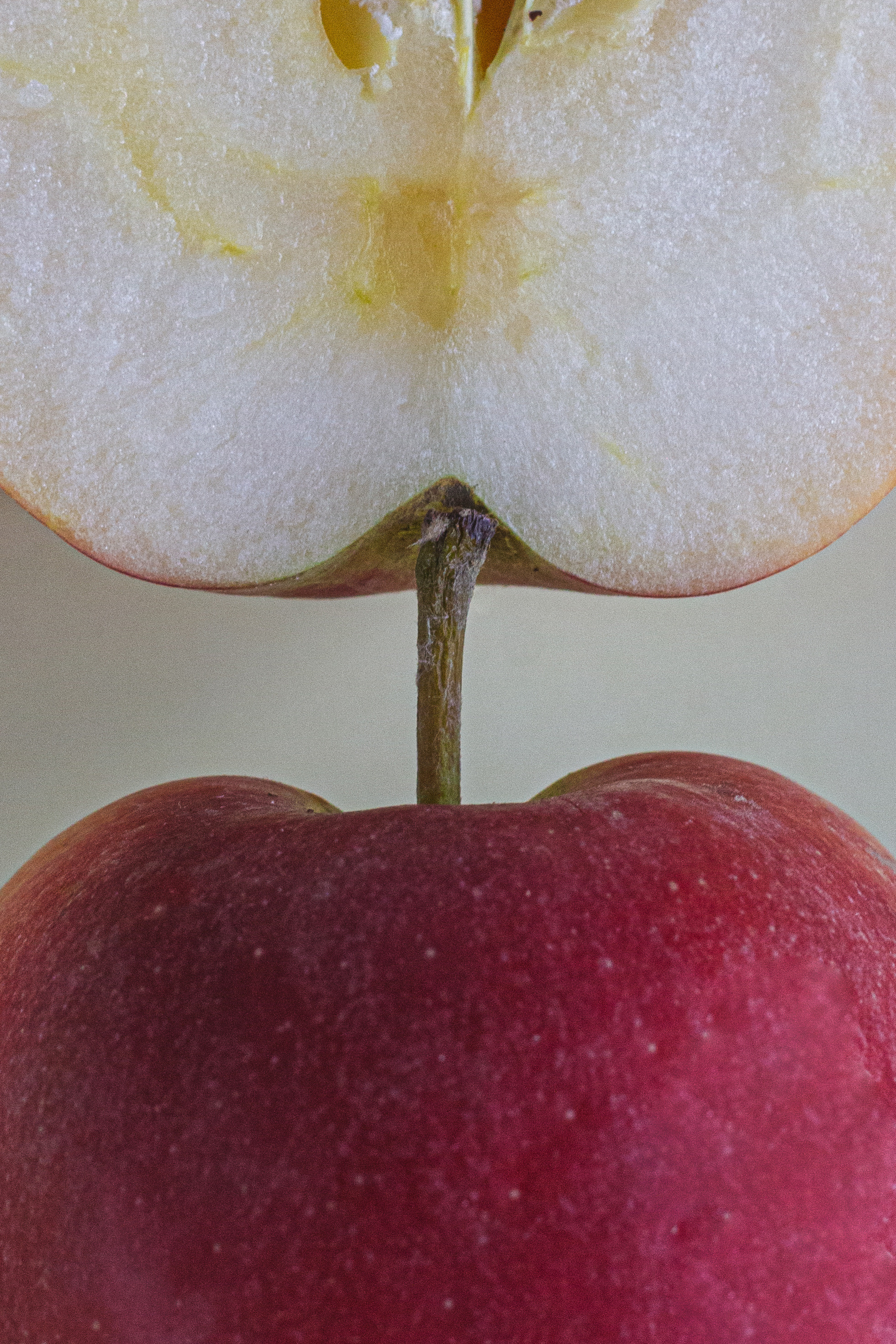 Для сексолога